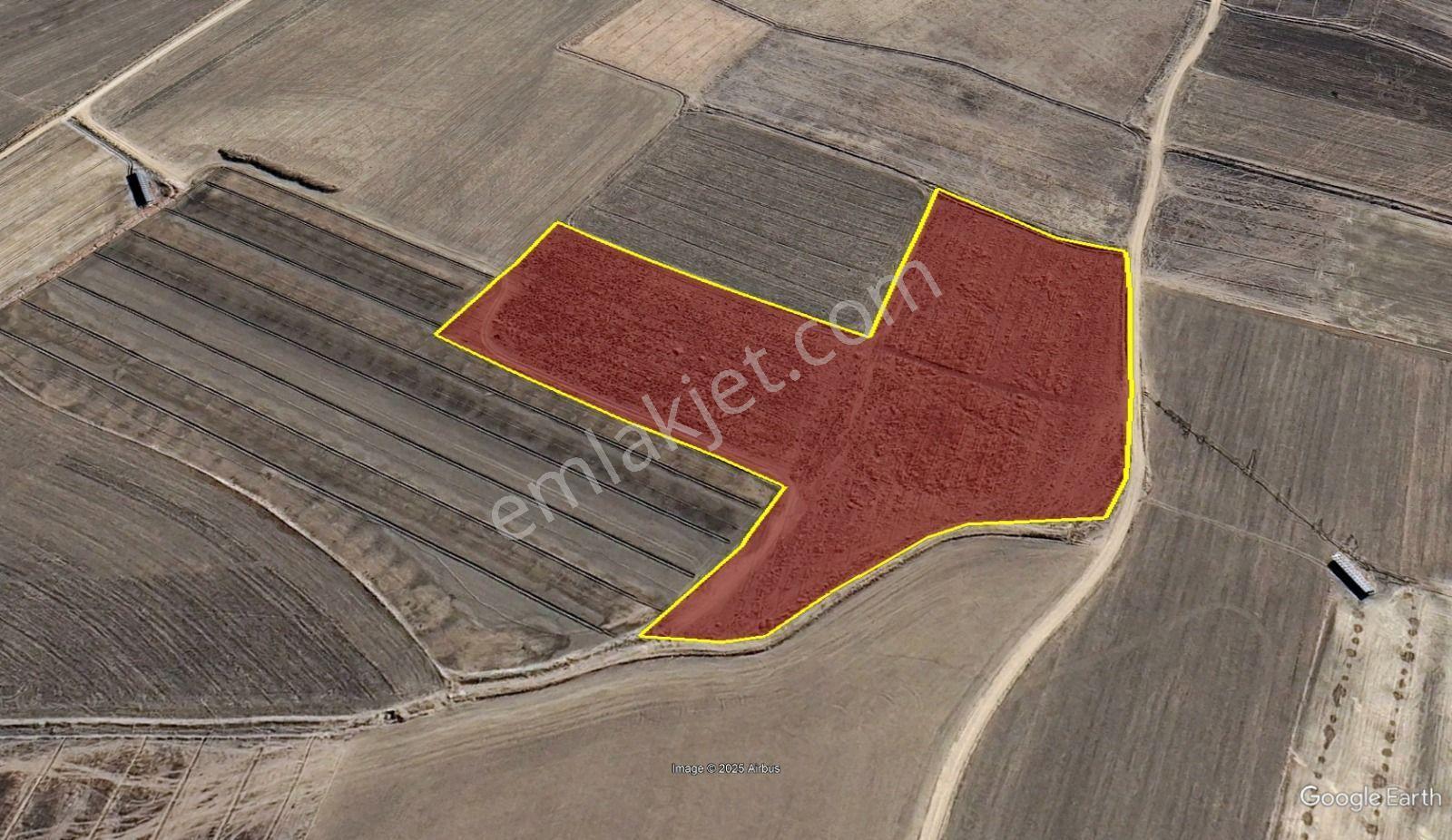 Aksaray / Merkez / Ulukışla Mahallesinde 28.678 M² Müstakil Tapulu Tarla