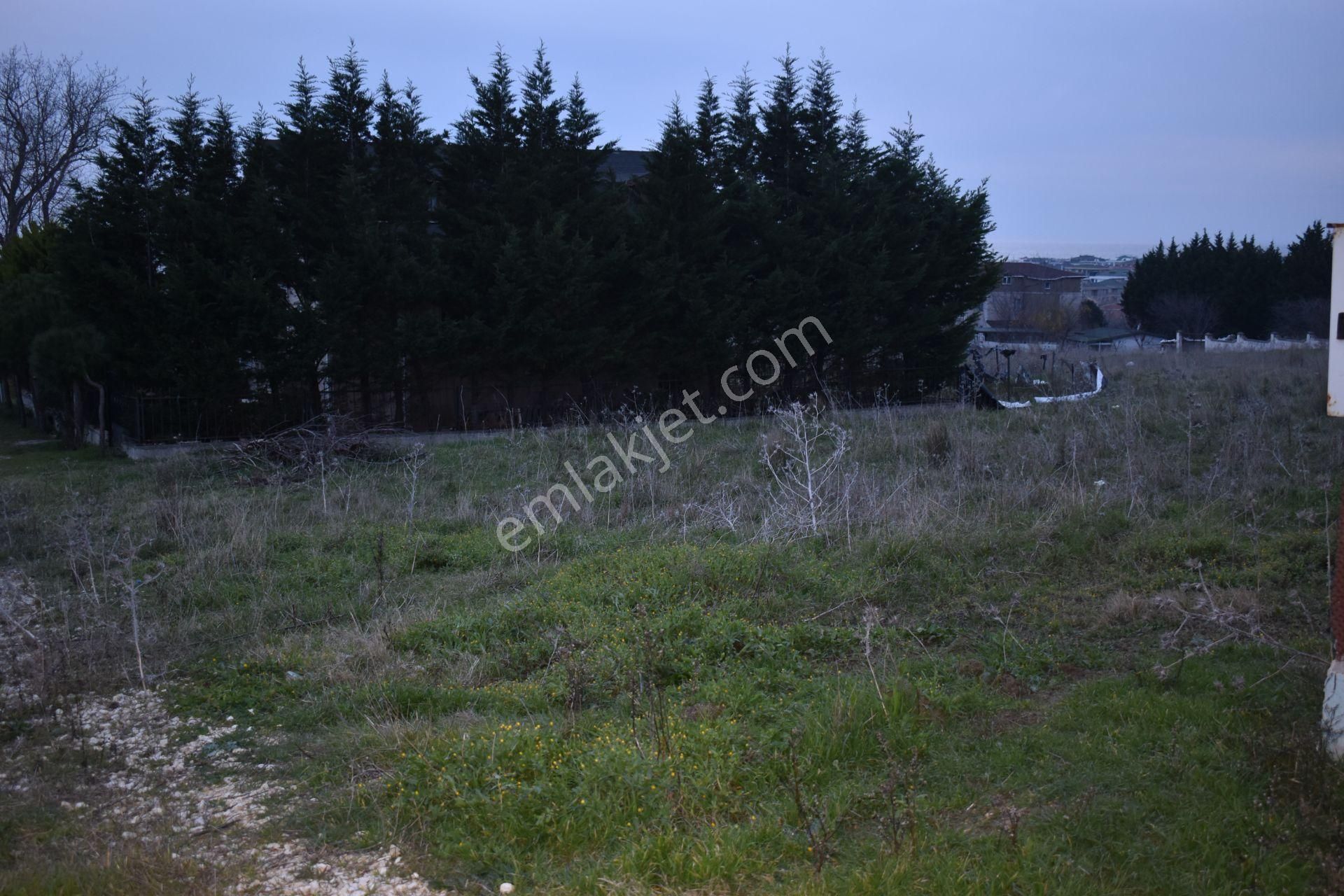 Fc Grup'tan Büyükçekmece Karaağaç Kupon Arsa - Görsel 3