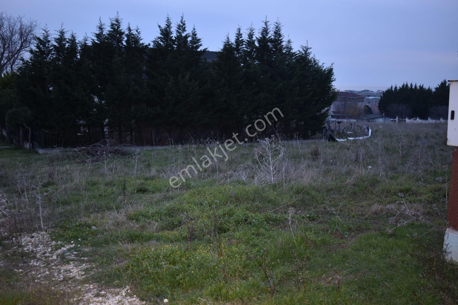 Fc Grup'tan Büyükçekmece Karaağaç Kupon Arsa - Görsel 2