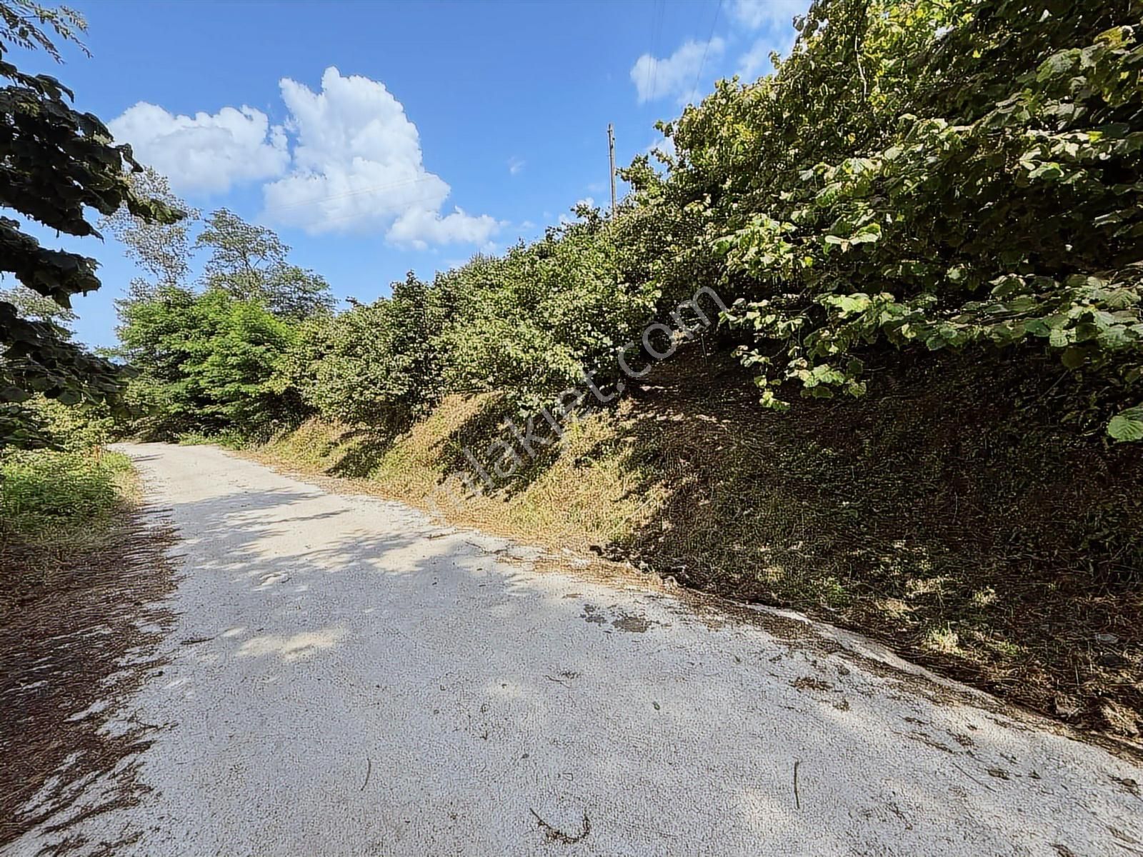 Ordu/perşembe/bekirlide 1 Dönüm Fındık Bahçesi - Görsel 20