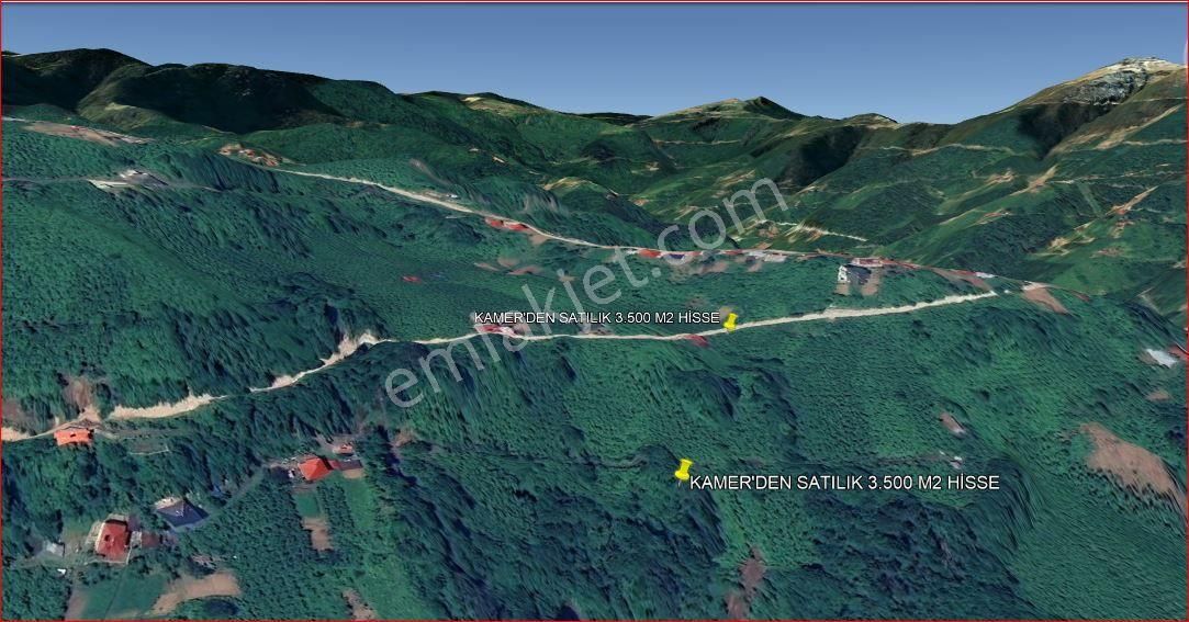 Kamer'den Trabzon,akçaabat,akçaköy Esentepe'de Satılık Hisseli Arazi(açıklamayı Okuyunuz) - Görsel 9