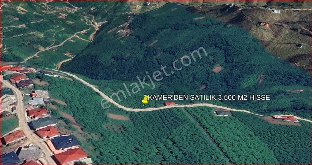 Kamer'den Trabzon,akçaabat,akçaköy Esentepe'de Satılık Hisseli Arazi(açıklamayı Okuyunuz) - Görsel 4