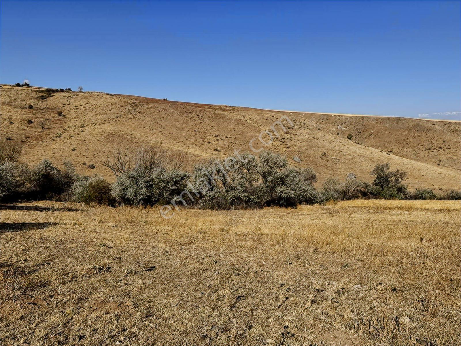 Ankara Kalecik Akkaynak 9.610 M2 Tek Tapu Mülk