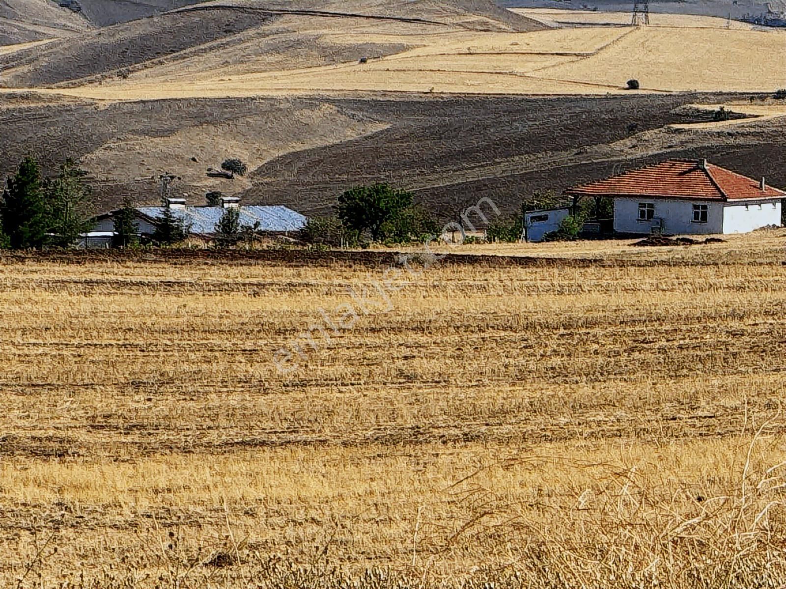 Ankara Kalecik Akkaynak 9.610 M2 Tek Tapu Mülk - Görsel 8