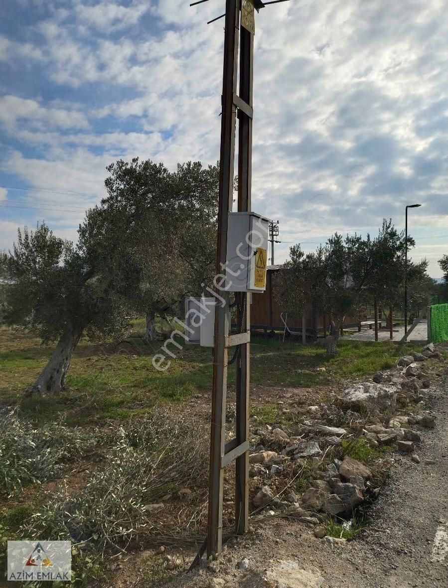 Dagkızılcada Satılık Bahçe - Görsel 7