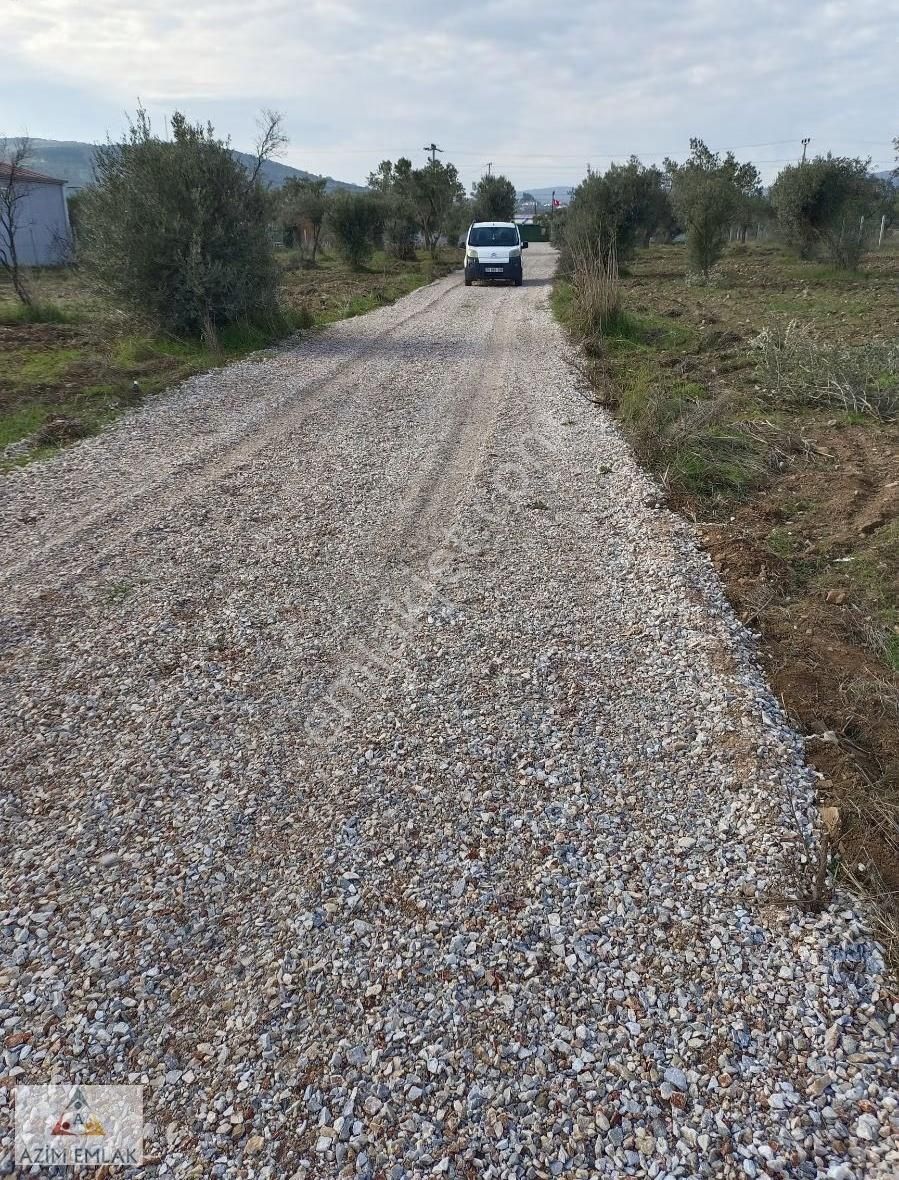 Dagkızılcada Satılık Bahçe - Görsel 10