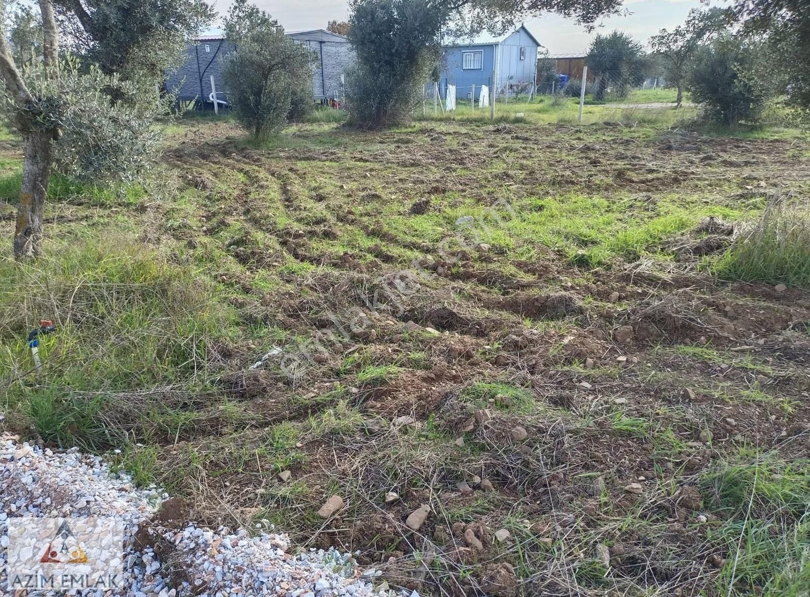 Dagkızılcada Satılık Bahçe - Görsel 4