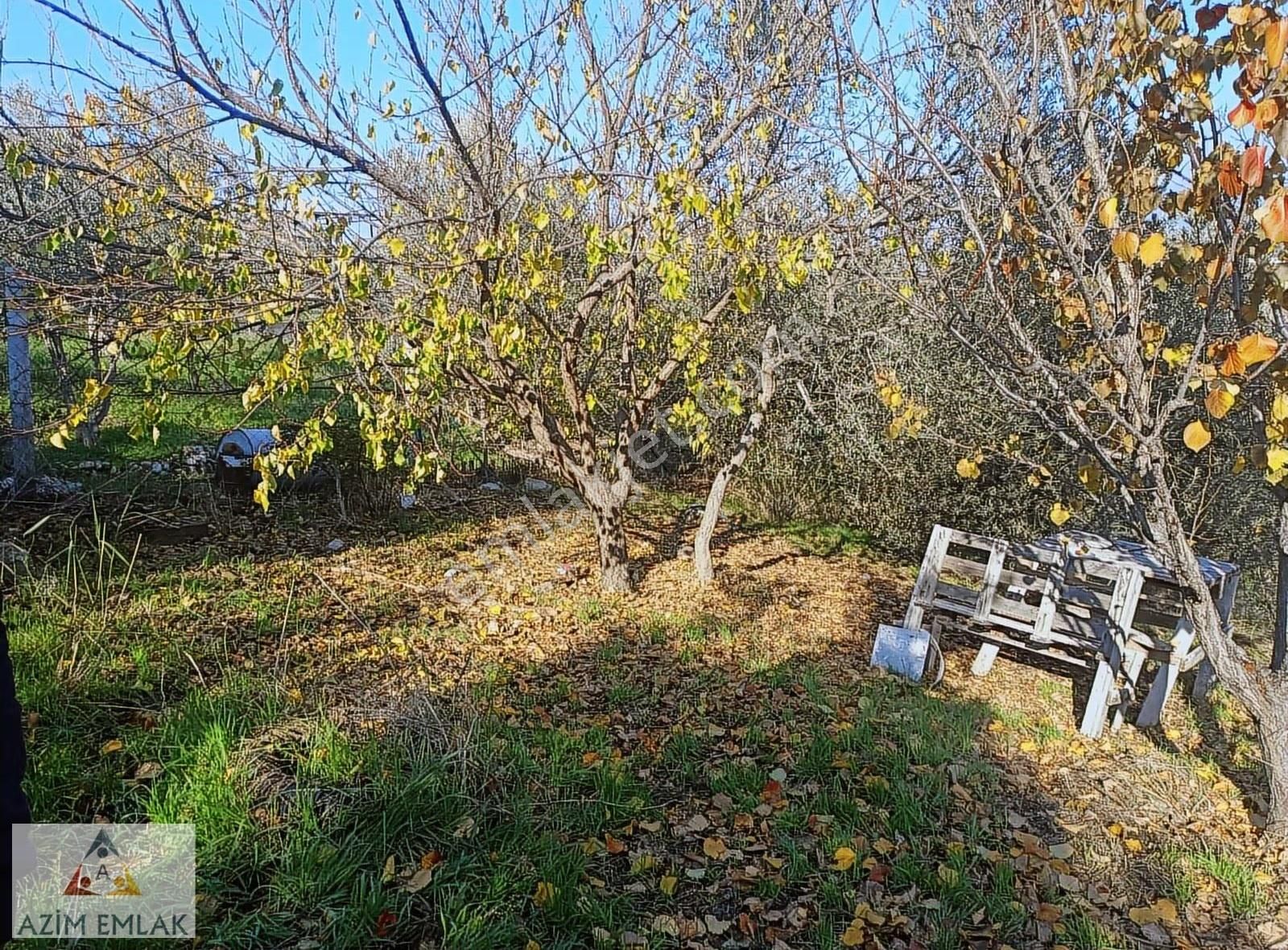 Demirci'de Acil Satılık 425 Metre Bahçe Satış Tapudan - Görsel 6