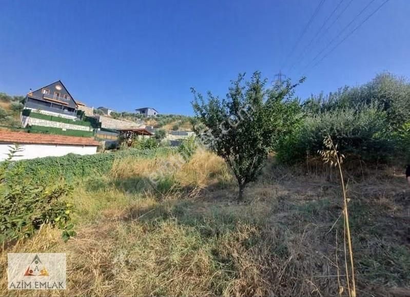 Demirci'de Acil Satılık 425 Metre Bahçe Satış Tapudan - Görsel 15