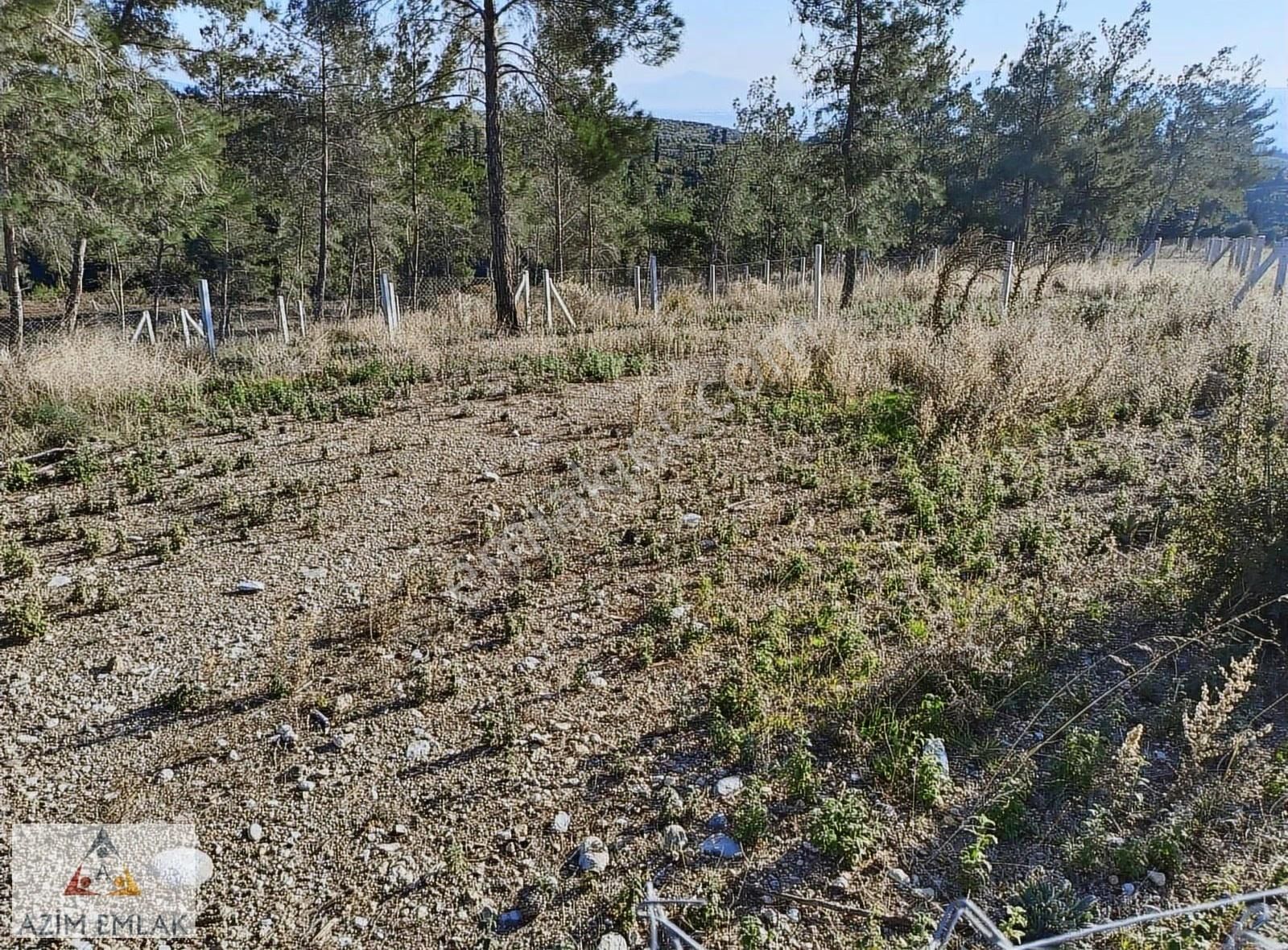 Demirci'de Satılık 255 M² Bahçe - Görsel 9