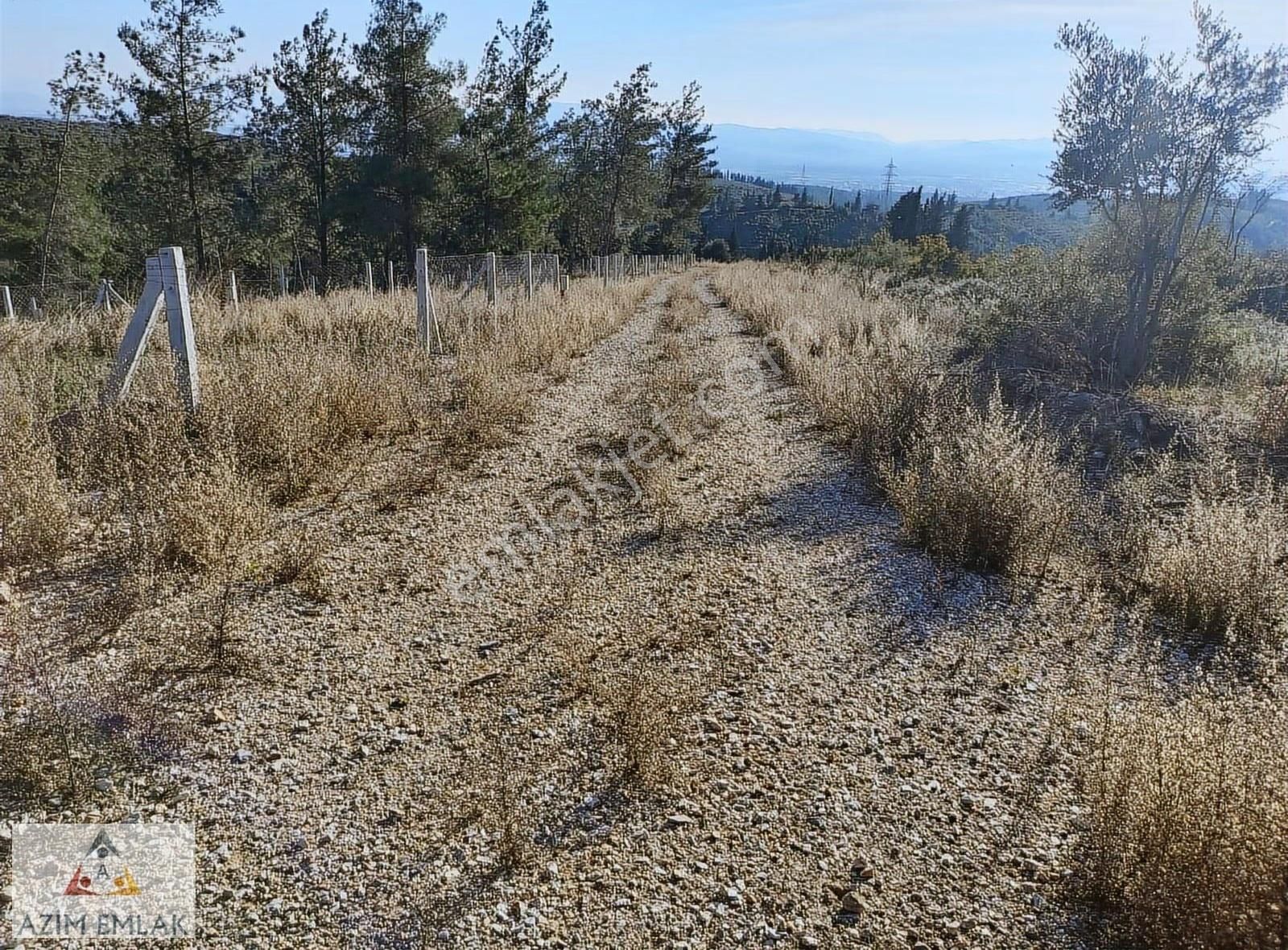 Demirci'de Satılık 255 M² Bahçe - Görsel 7