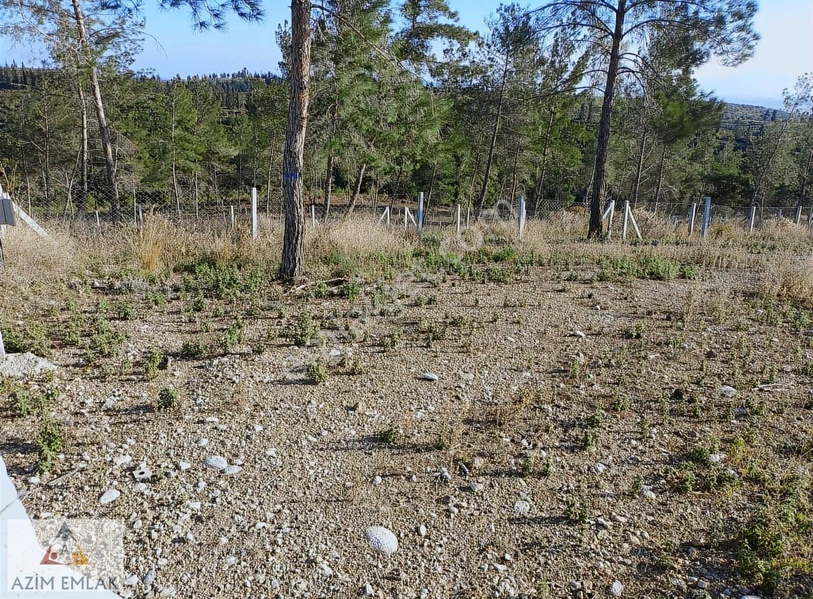 Demirci'de Satılık 255 M² Bahçe - Görsel 11