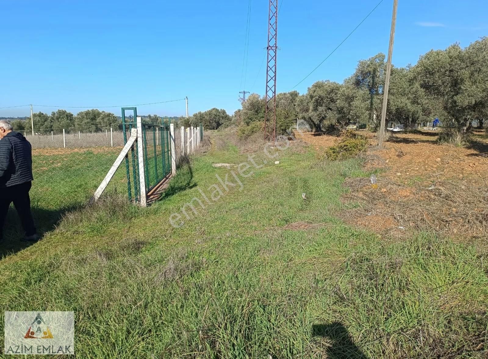 Demircide Satılık 2600 M² Bahçe Mirastan Bölme - Görsel 7