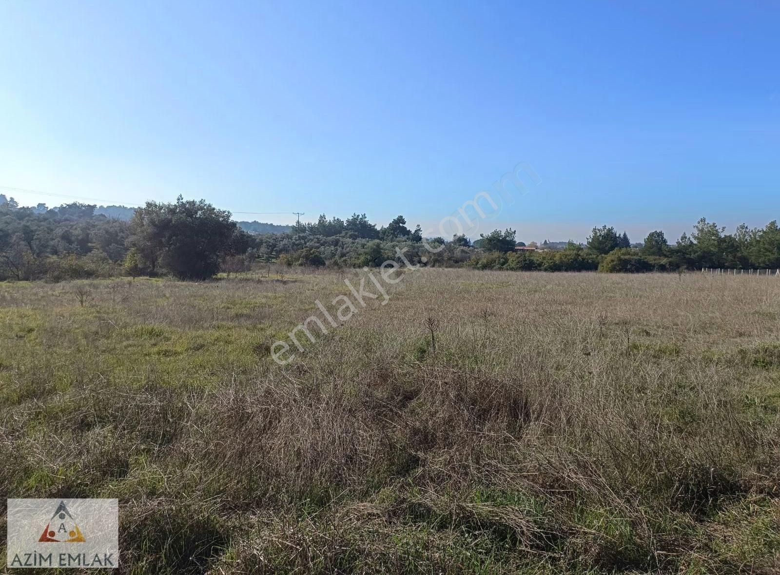 Demircide Satılık 2600 M² Bahçe Mirastan Bölme - Görsel 5