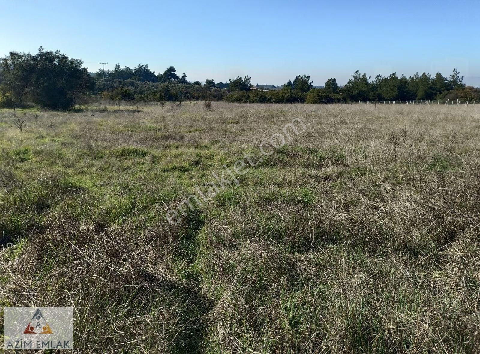 Demircide Satılık 2600 M² Bahçe Mirastan Bölme - Görsel 3