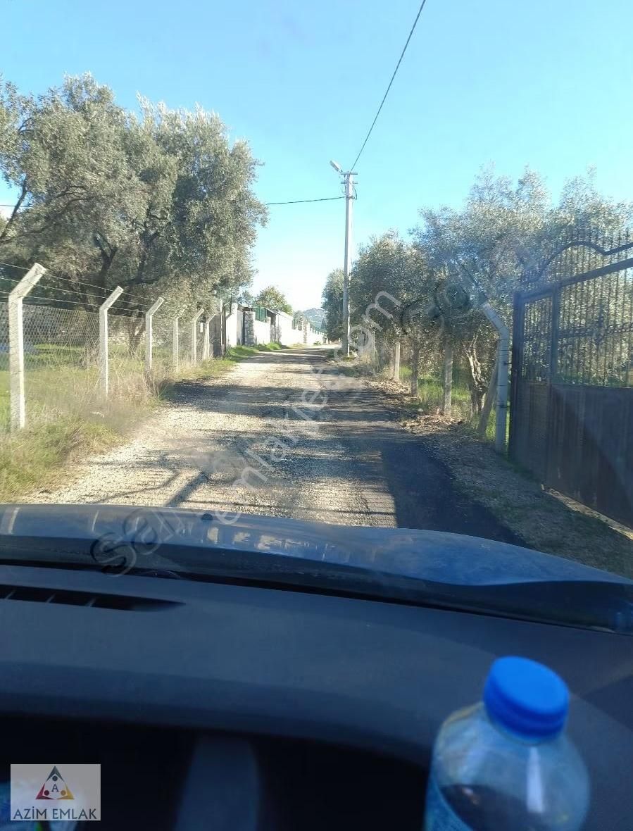 Demircide Satılık 2600 M² Bahçe Mirastan Bölme