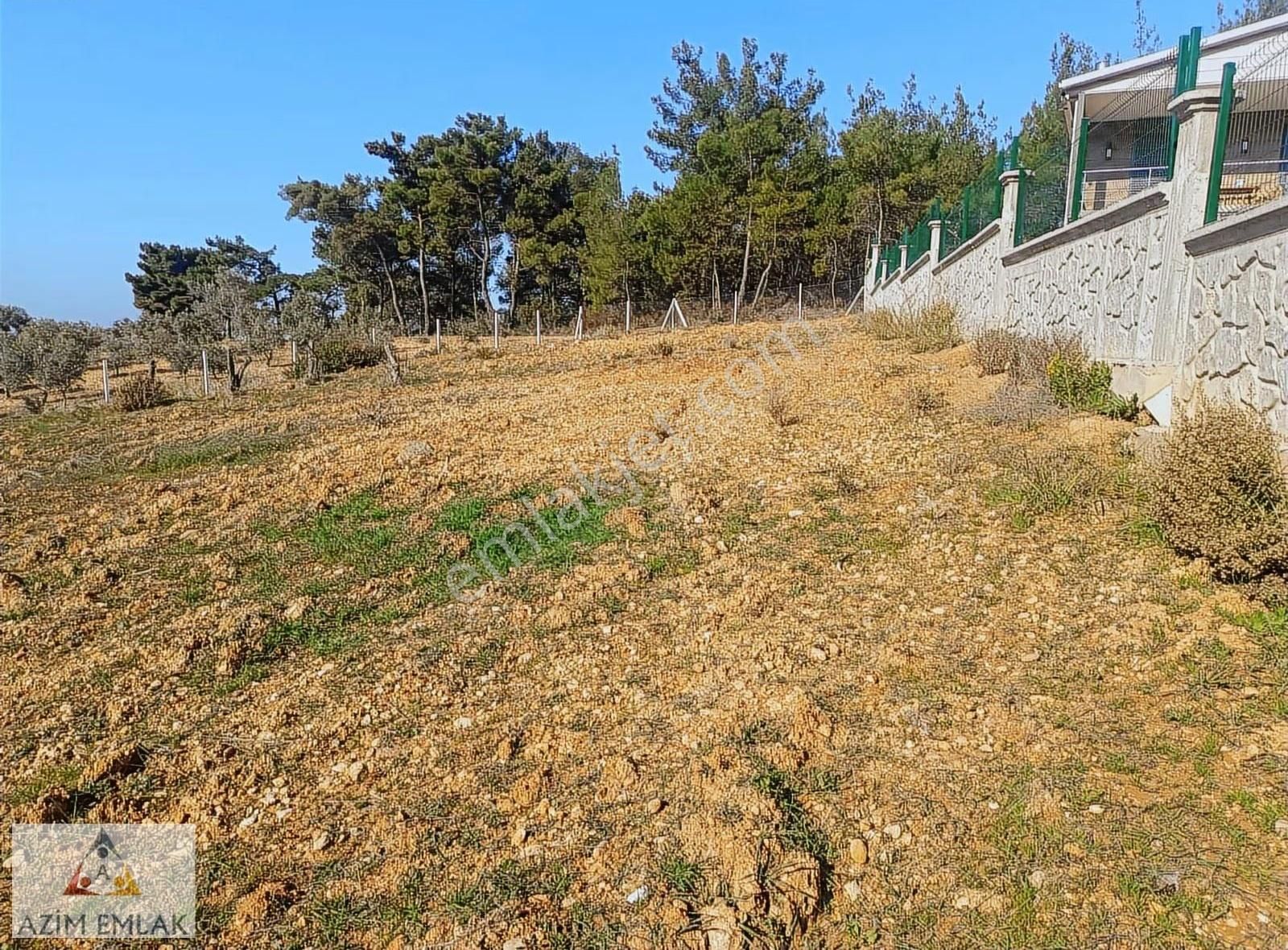 Demircide Satılık 3700 M² Tarla - Görsel 6