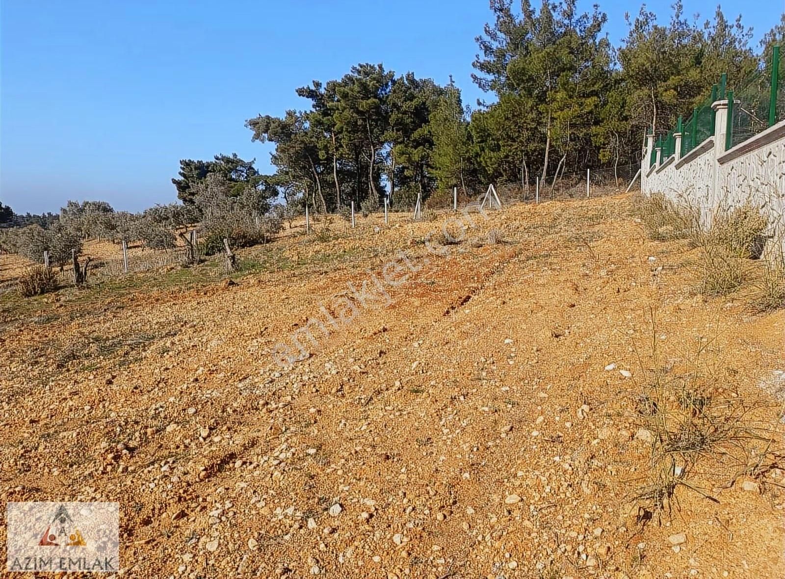 Demircide Satılık 3700 M² Tarla - Görsel 13