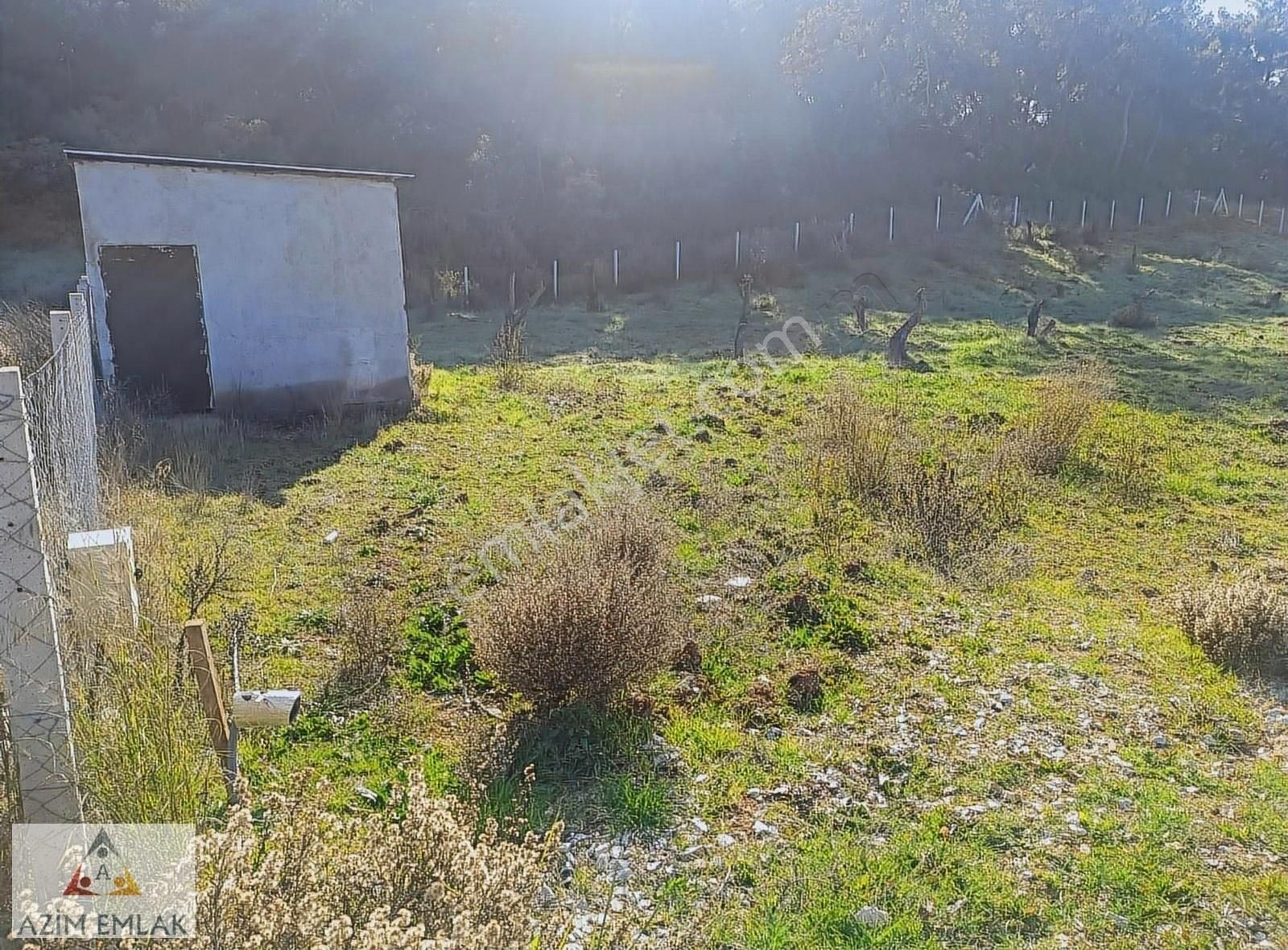 Demircide Satılık 3700 M² Tarla - Görsel 8