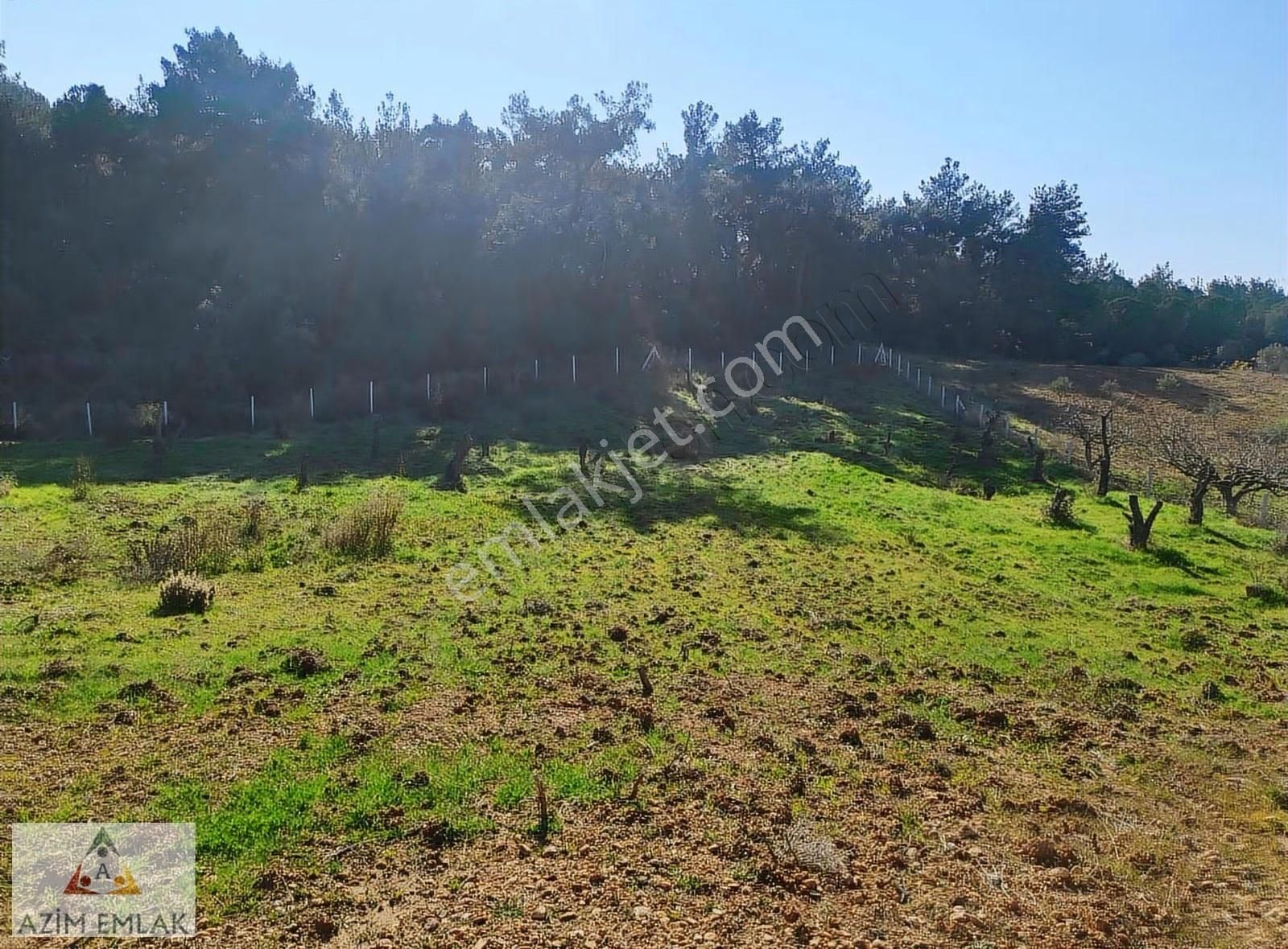 Demircide Satılık 3700 M² Tarla - Görsel 11