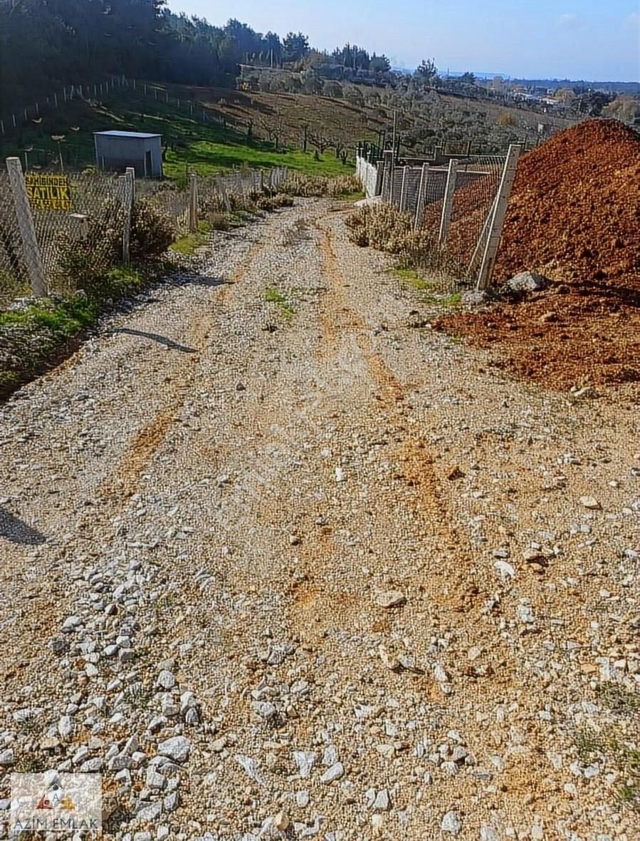 Demircide Satılık 3700 M² Tarla - Görsel 5