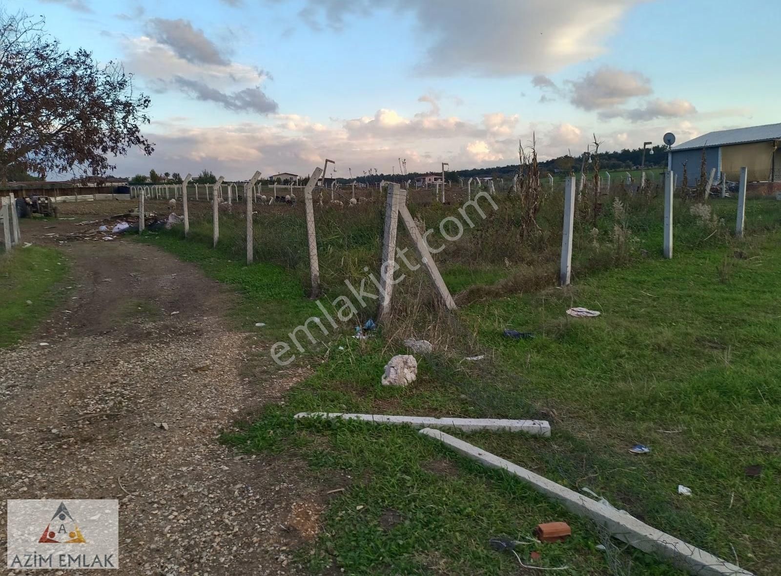 Karacaağaç'ta Satılık 342 Metre Mirastan Bölme Bahçe - Görsel 9