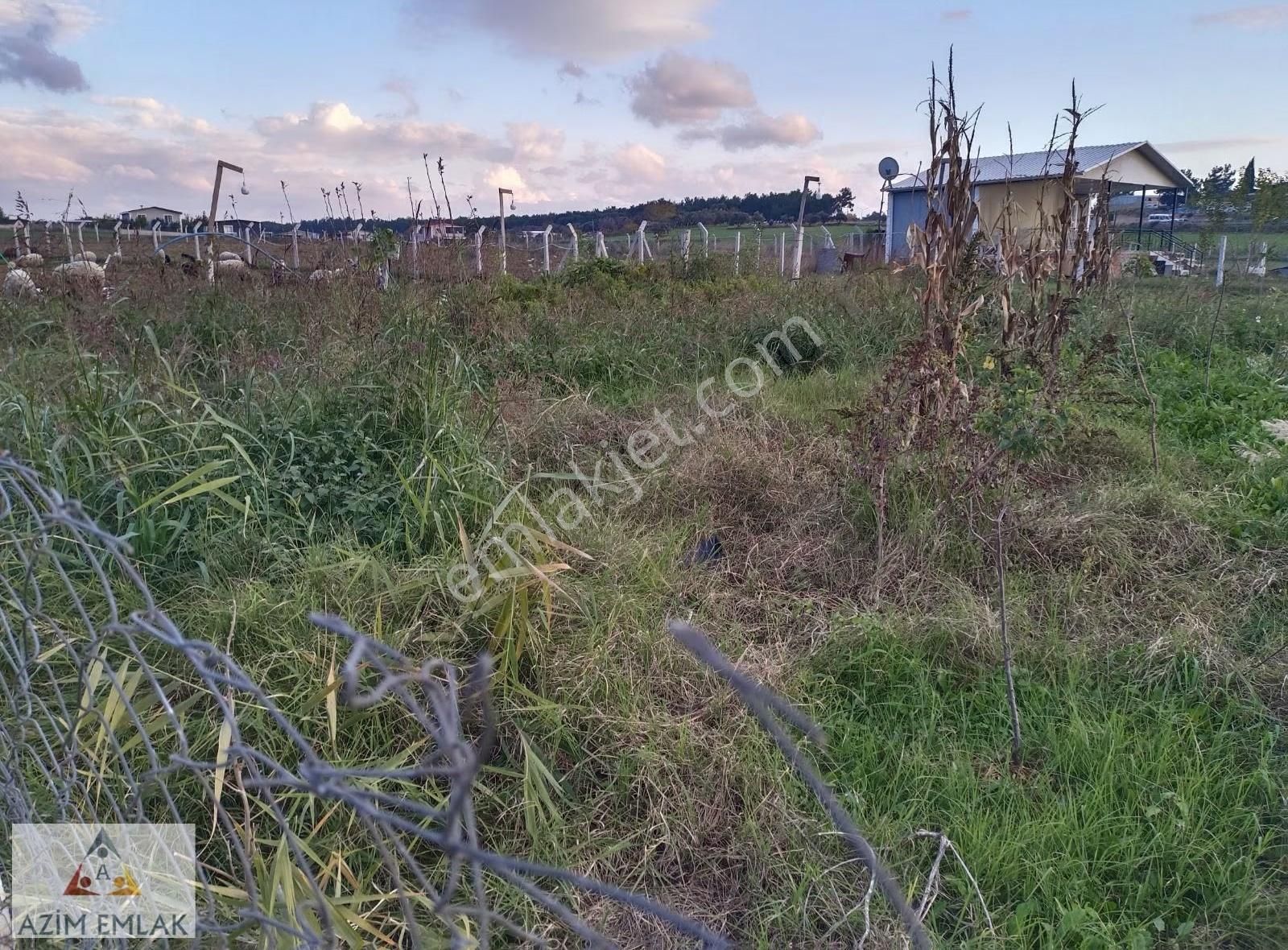 Karacaağaç'ta Satılık 342 Metre Mirastan Bölme Bahçe - Görsel 4