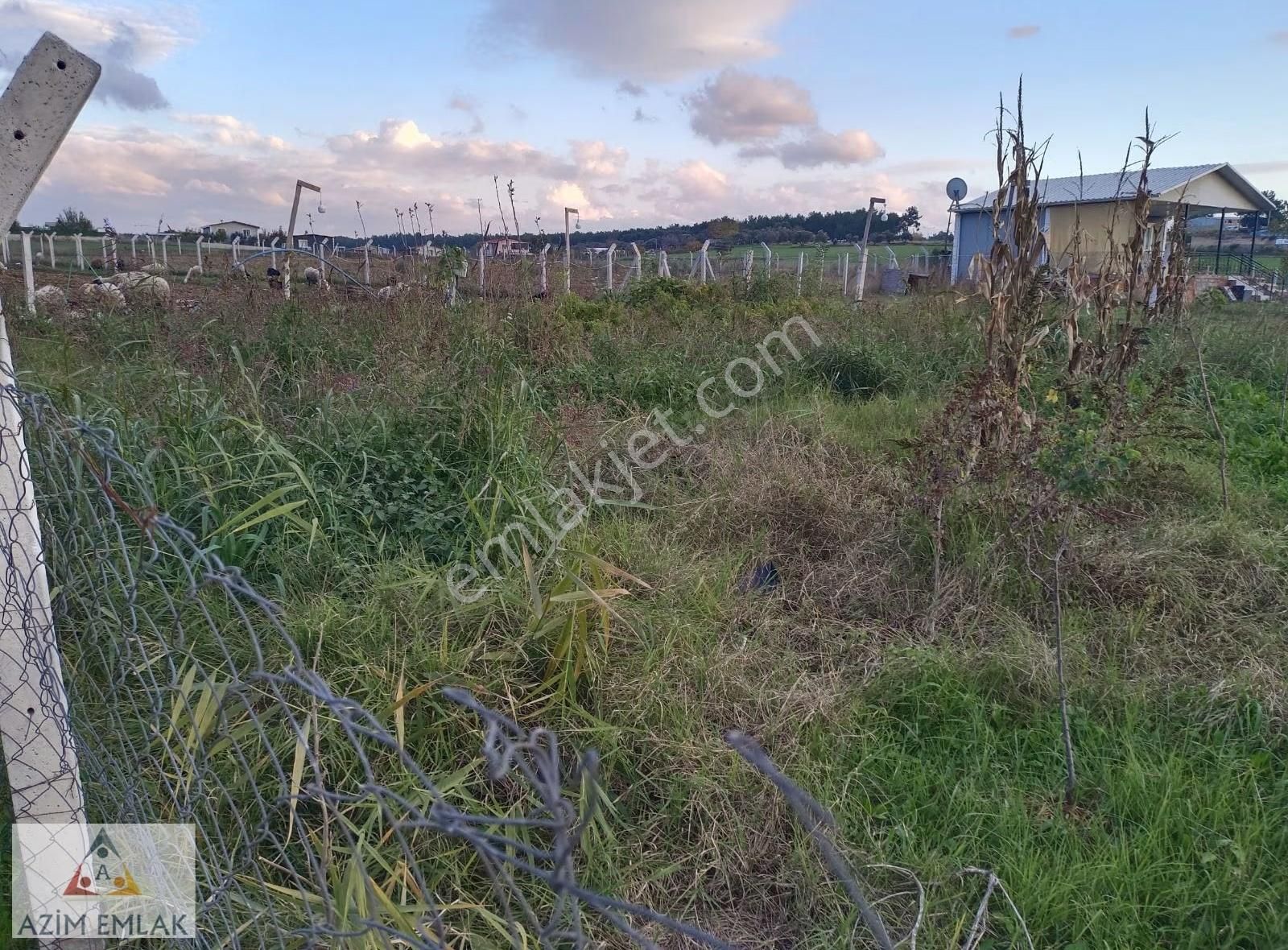 Karacaağaç'ta Satılık 342 Metre Mirastan Bölme Bahçe - Görsel 8