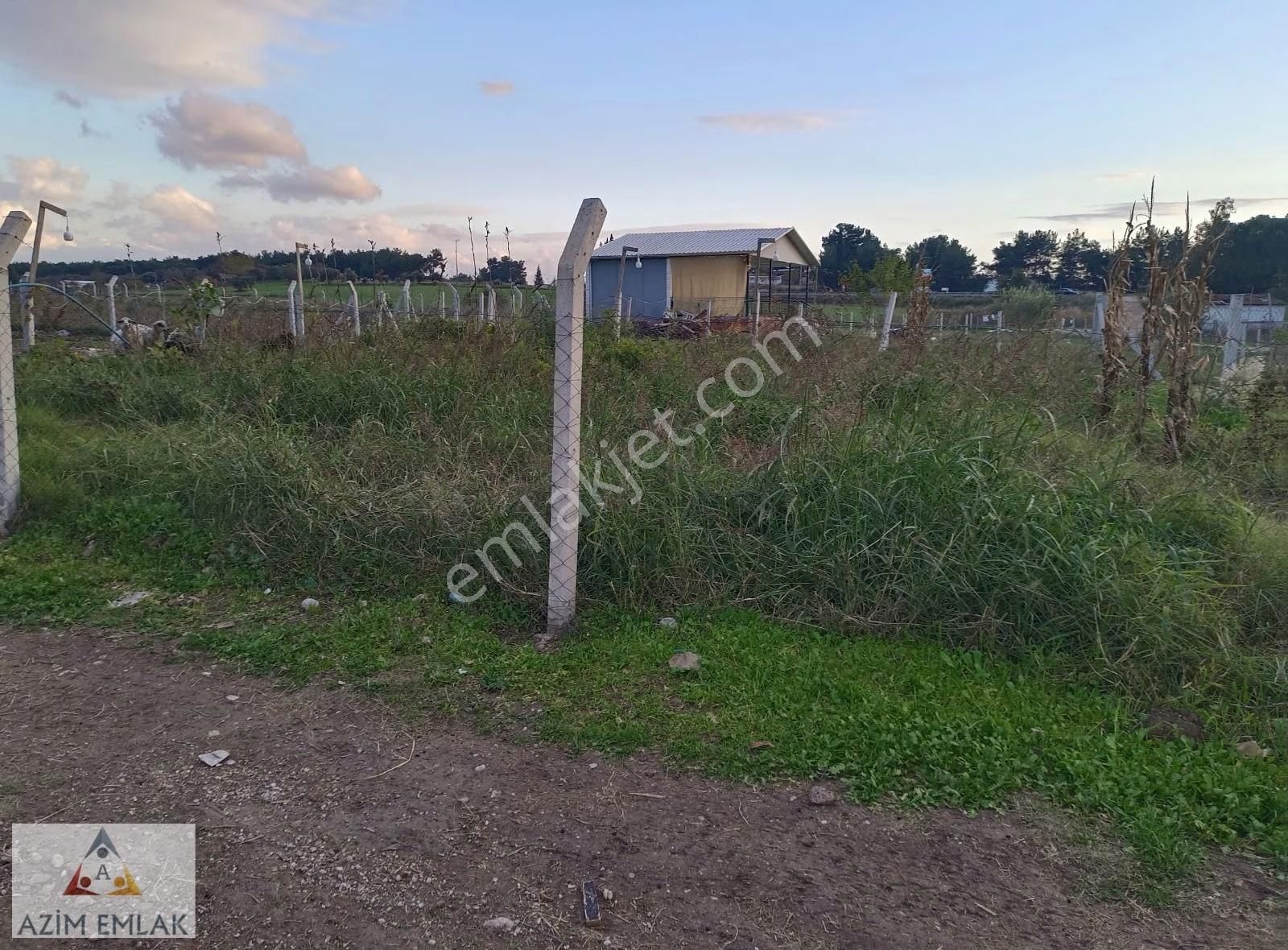 Karacaağaç'ta Satılık 342 Metre Mirastan Bölme Bahçe - Görsel 3