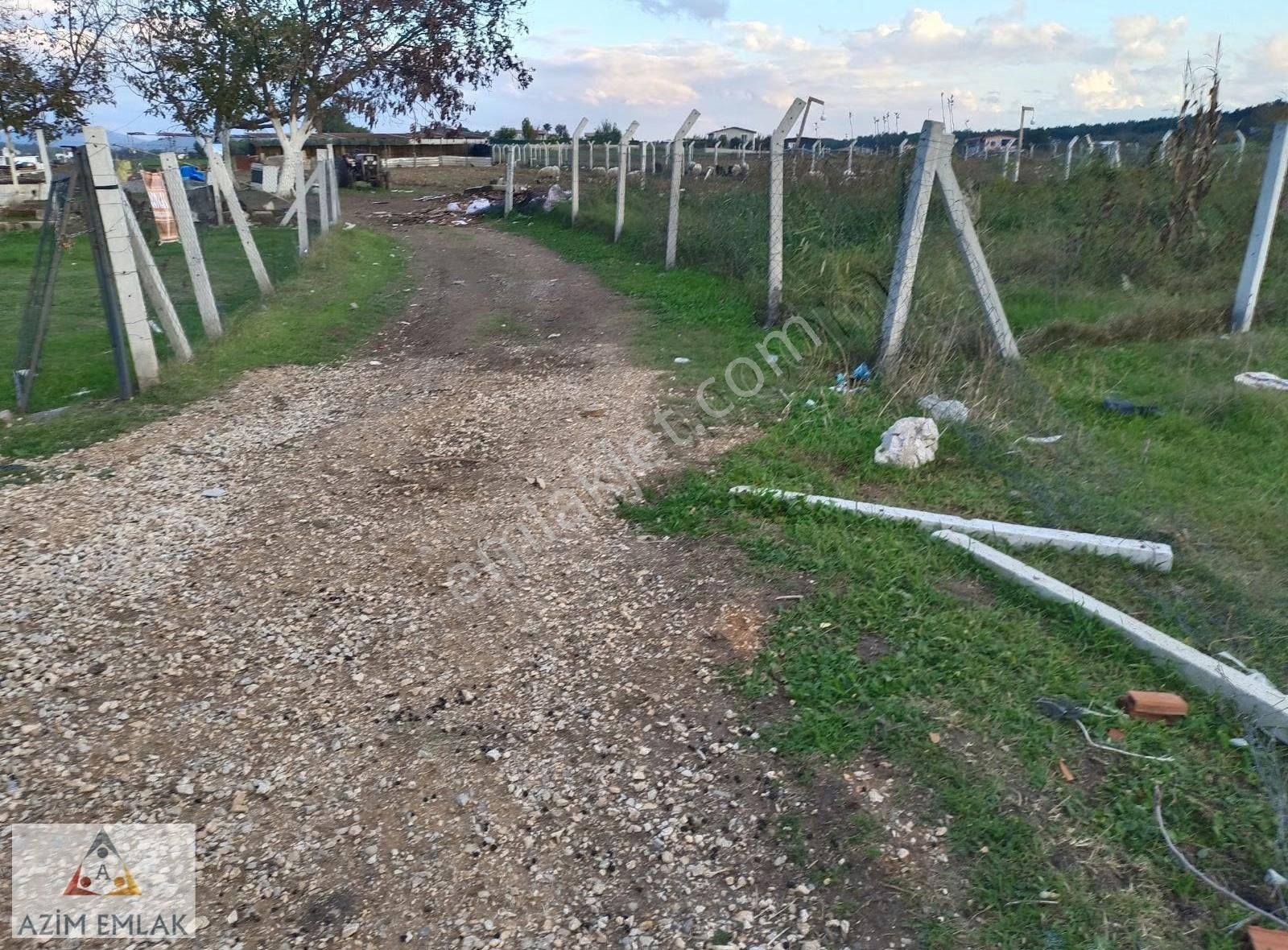 Karacaağaç'ta Satılık 342 Metre Mirastan Bölme Bahçe - Görsel 10