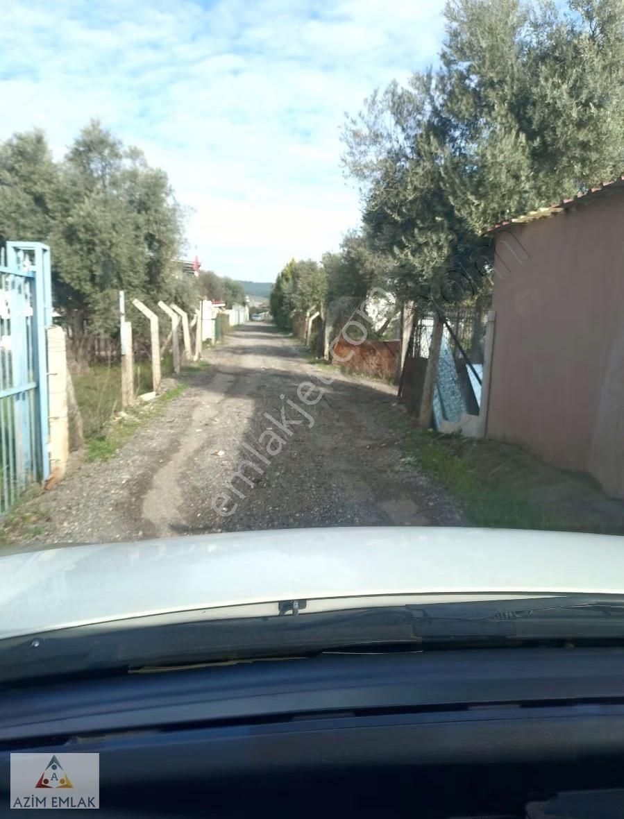 Meşelik Yolunda Satılık 300 Metre Bahçe - Görsel 9