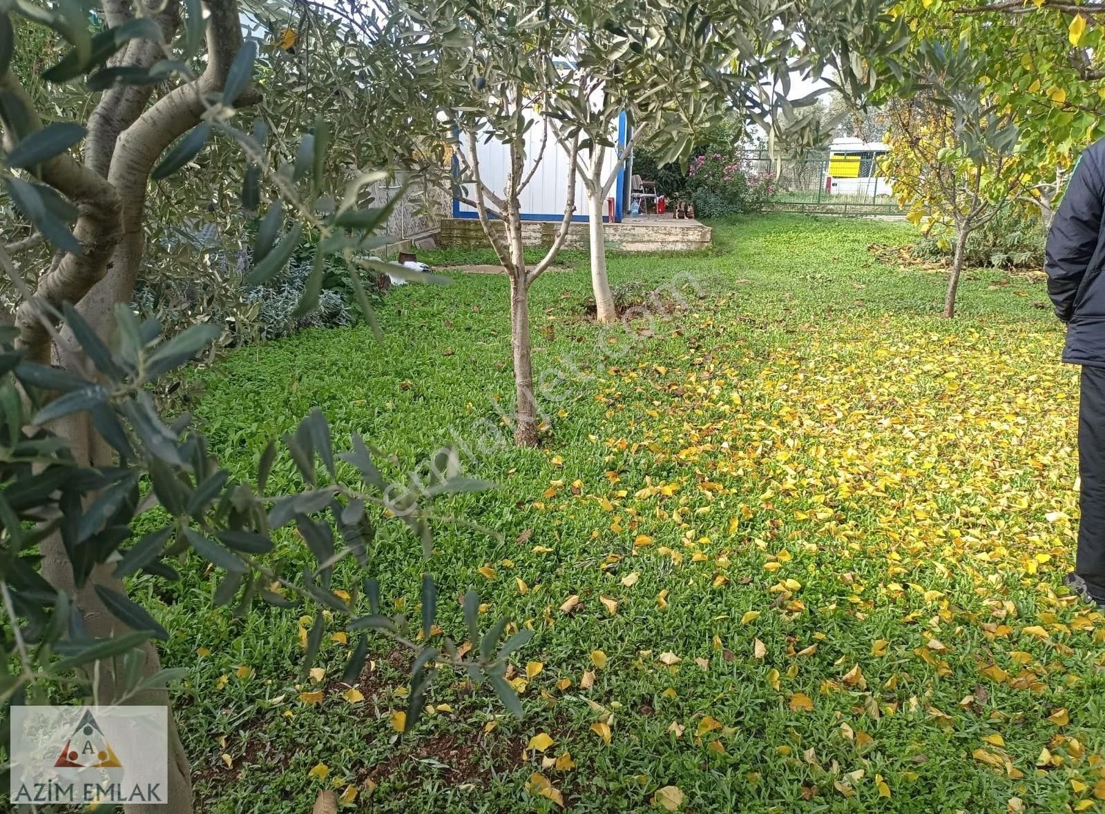 Meşelik Yolunda Satılık 300 Metre Bahçe - Görsel 19