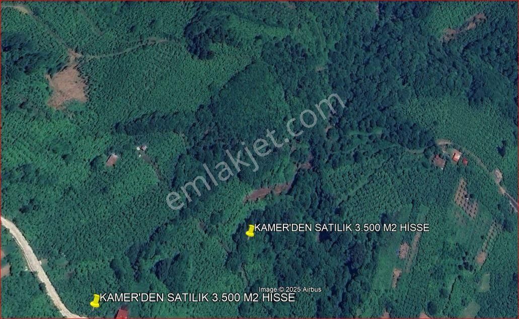Kamer'den Trabzon,akçaabat,akçaköy Esentepe'de Satılık 7 Dönüm Hisse (açıklamayı Okuyunuz) - Görsel 4