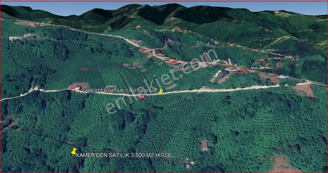 Kamer'den Trabzon,akçaabat,akçaköy Esentepe'de Satılık 7 Dönüm Hisse (açıklamayı Okuyunuz) - Görsel 7