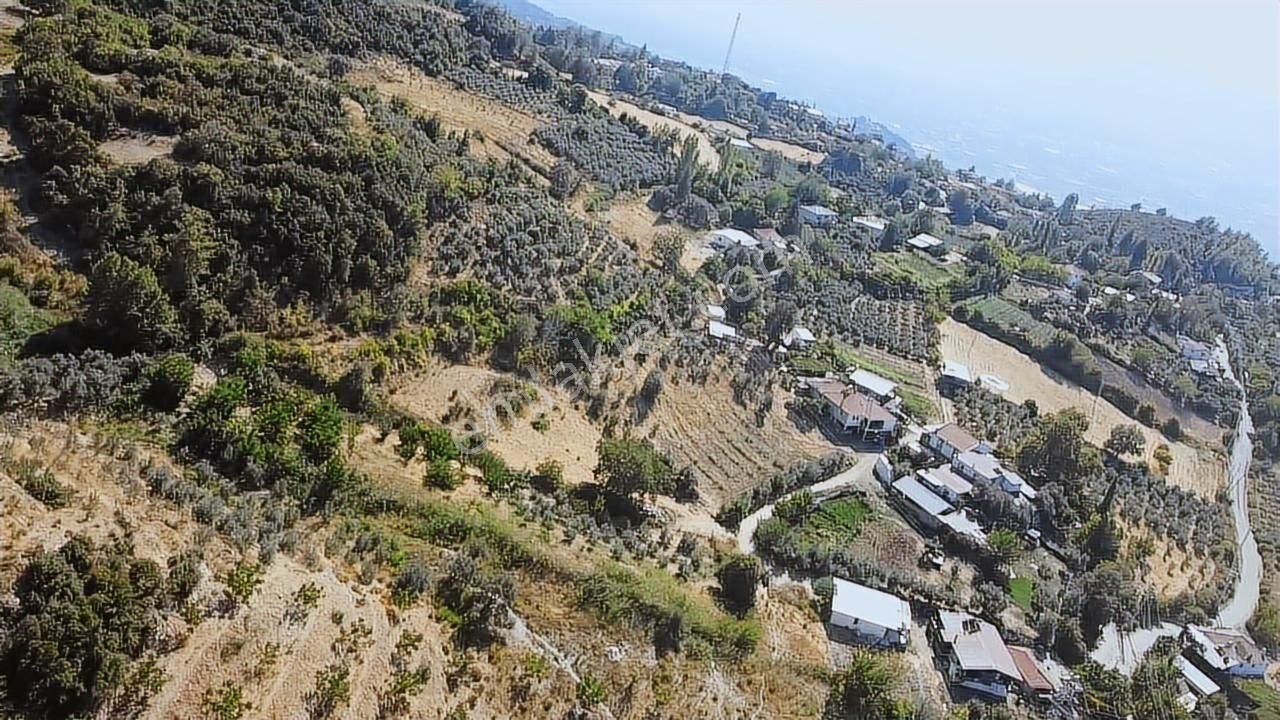 Uğur'dan Seydikemer Yaka Da 3200 M2 Köyiçi İmarlı Satılık Arazi - Görsel 13
