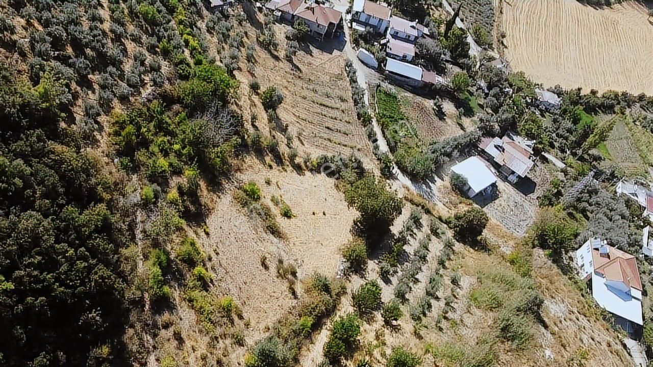 Uğur'dan Seydikemer Yaka Da 3200 M2 Köyiçi İmarlı Satılık Arazi - Görsel 23