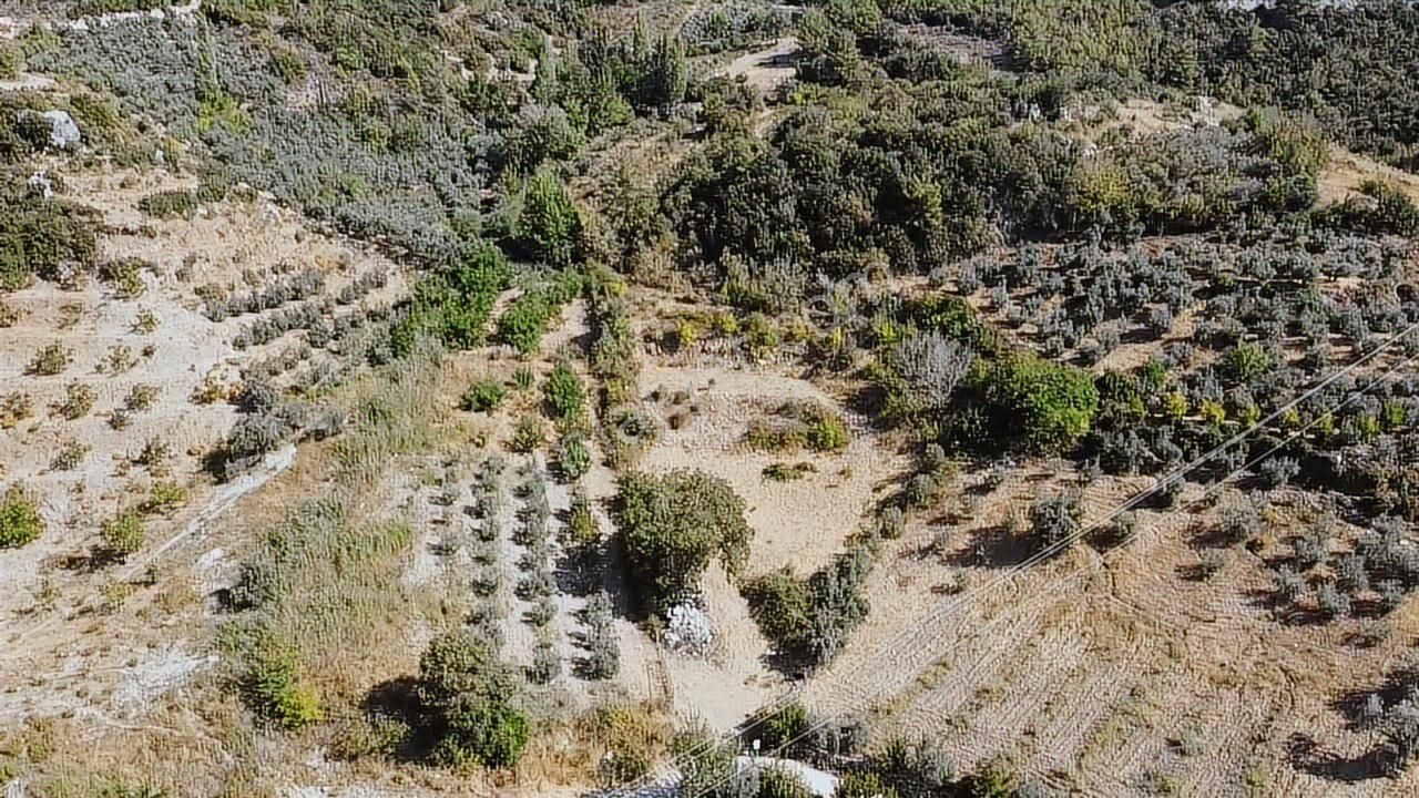 Uğur'dan Seydikemer Yaka Da 3200 M2 Köyiçi İmarlı Satılık Arazi - Görsel 27