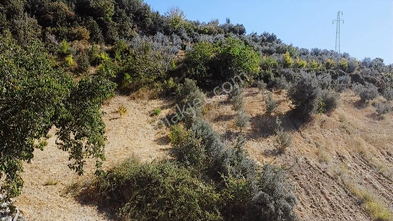 Uğur'dan Seydikemer Yaka Da 3200 M2 Köyiçi İmarlı Satılık Arazi - Görsel 30