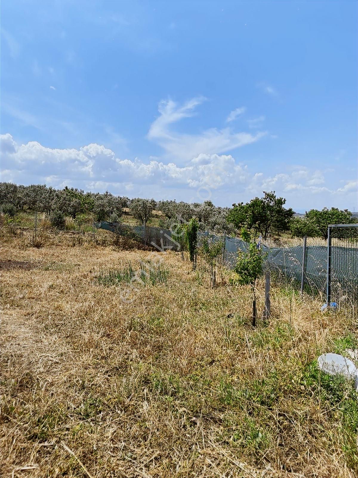 Doğayla İç İçe Bahçeli Ev Ülküköy'ün Sessiz Köşesinde - Görsel 22