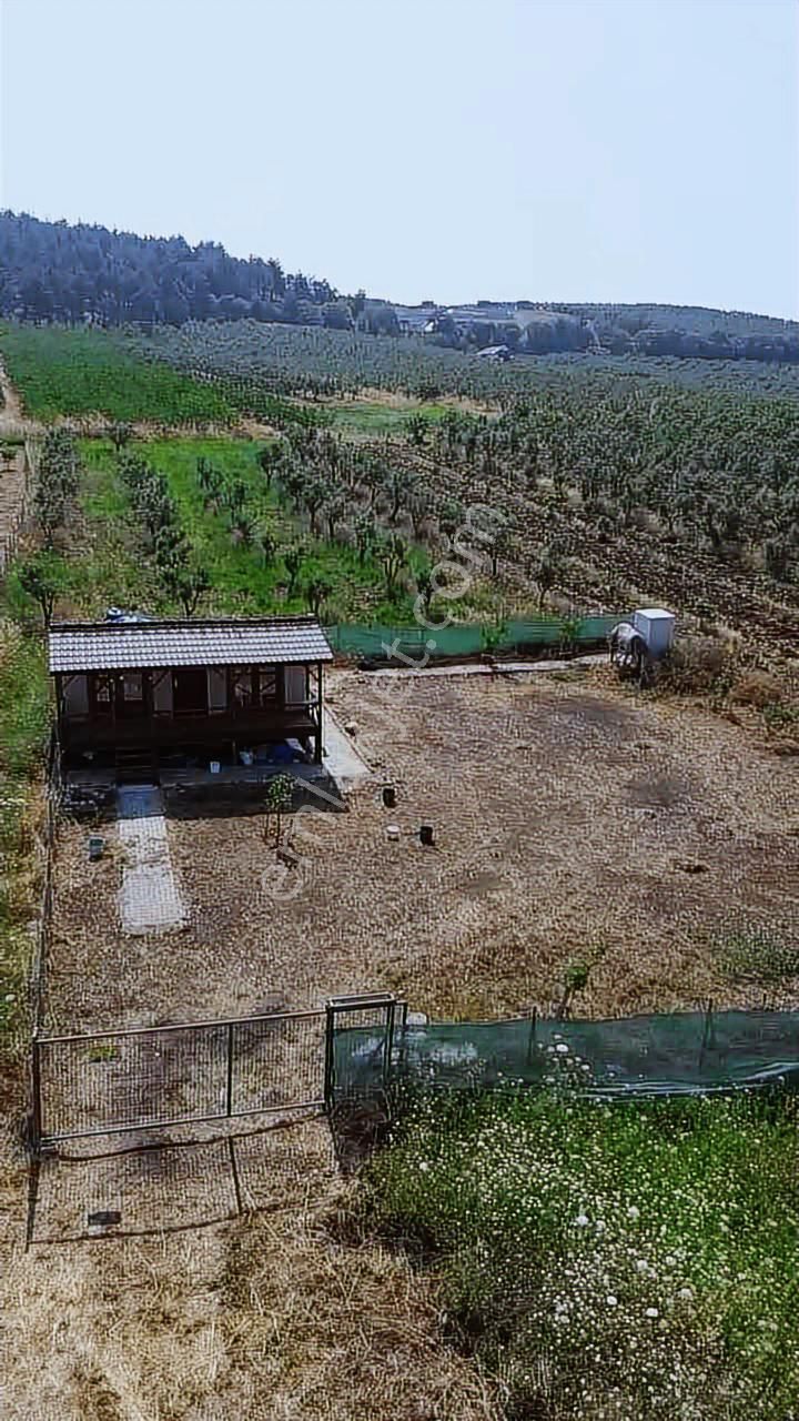 Doğayla İç İçe Bahçeli Ev Ülküköy'ün Sessiz Köşesinde - Görsel 17