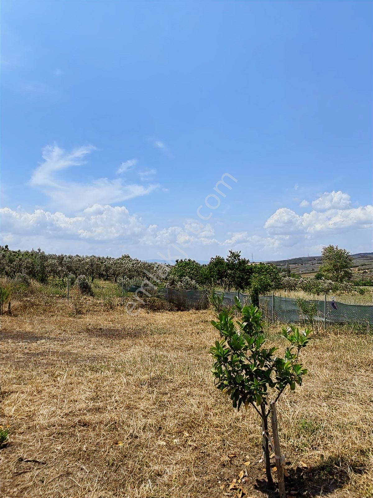 Doğayla İç İçe Bahçeli Ev Ülküköy'ün Sessiz Köşesinde - Görsel 21