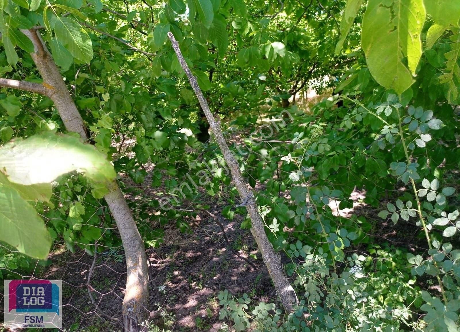 2 Kat İmarlı 426 M2 Doğayla İç İçe Orhaneli Sırıl Köyünde Arsa - Görsel 3