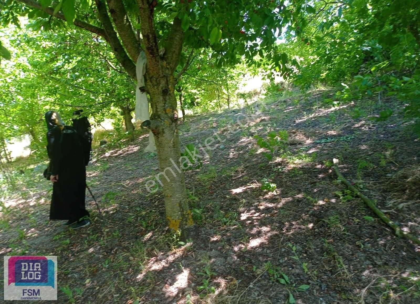 2 Kat İmarlı 426 M2 Doğayla İç İçe Orhaneli Sırıl Köyünde Arsa - Görsel 6