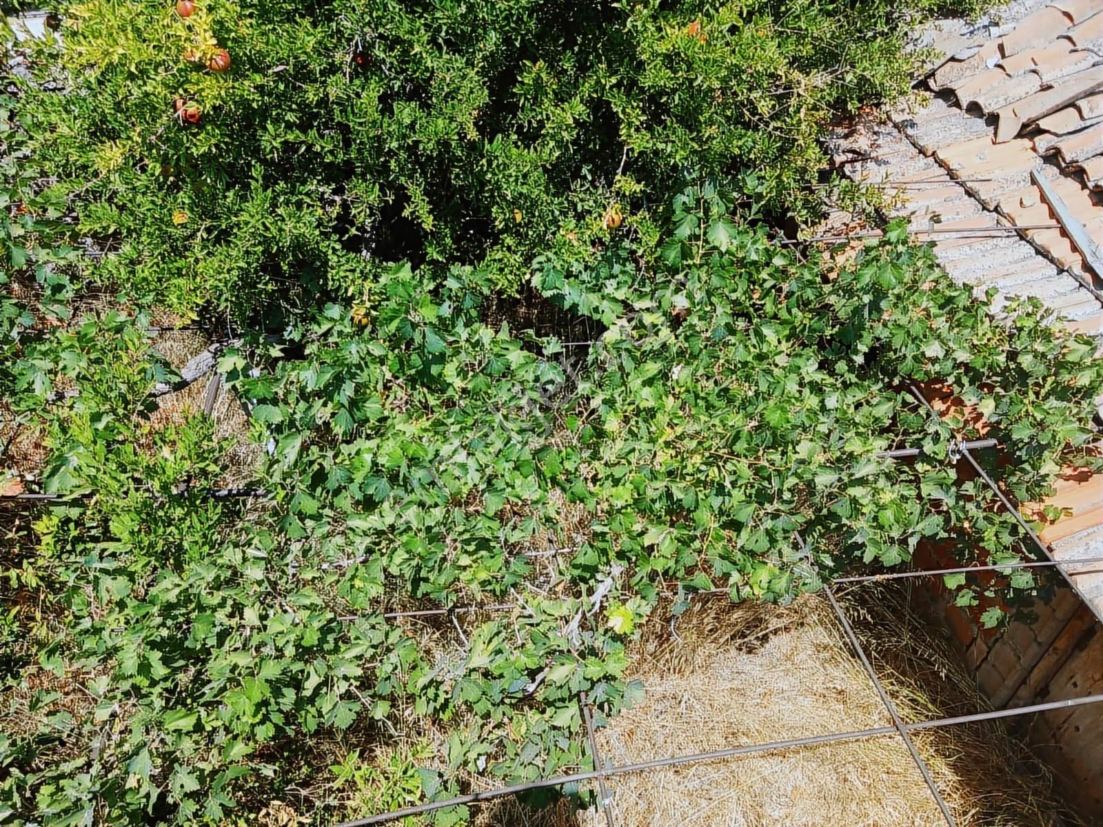 Eu Gayrimenkul'den Babakale Limanda Deniz Manzaralı Köy Evi - Görsel 28