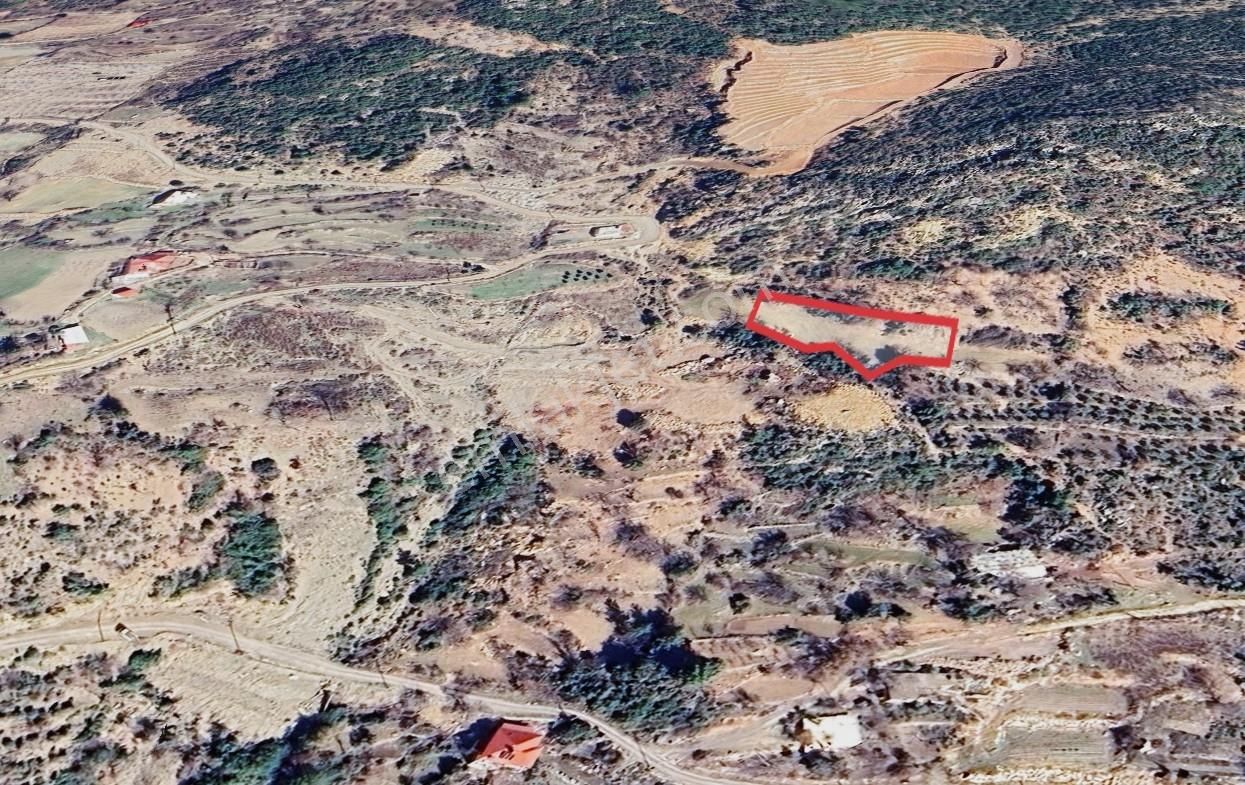 Karatepe Köy İçinde Ev Yapımına Uygun 5.476 Mt² Satılık Tarla - Görsel 3