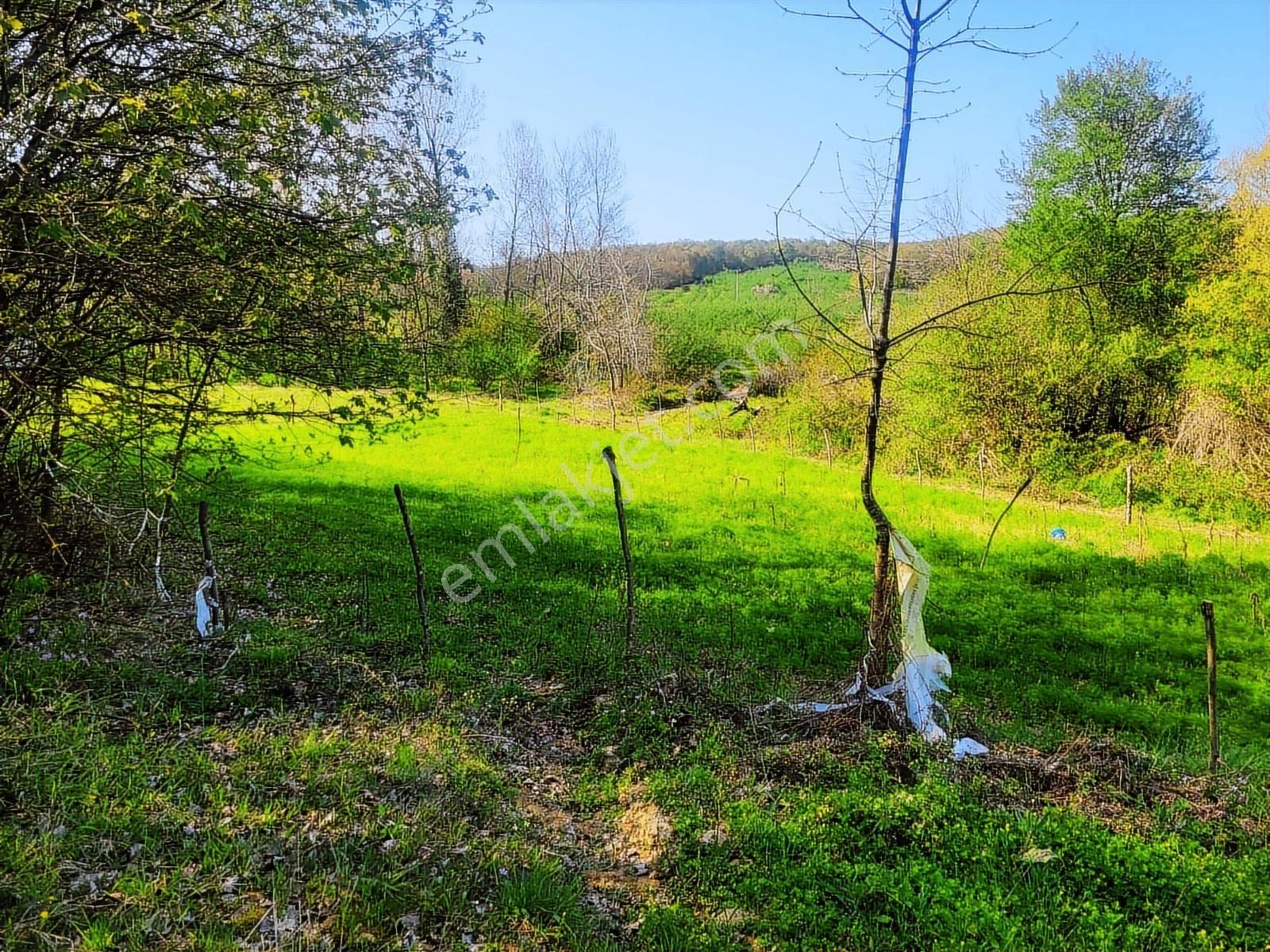 Harika Konumda, Dümdüz, Fırsat Arazi, Doğanın İçinde - Görsel 27