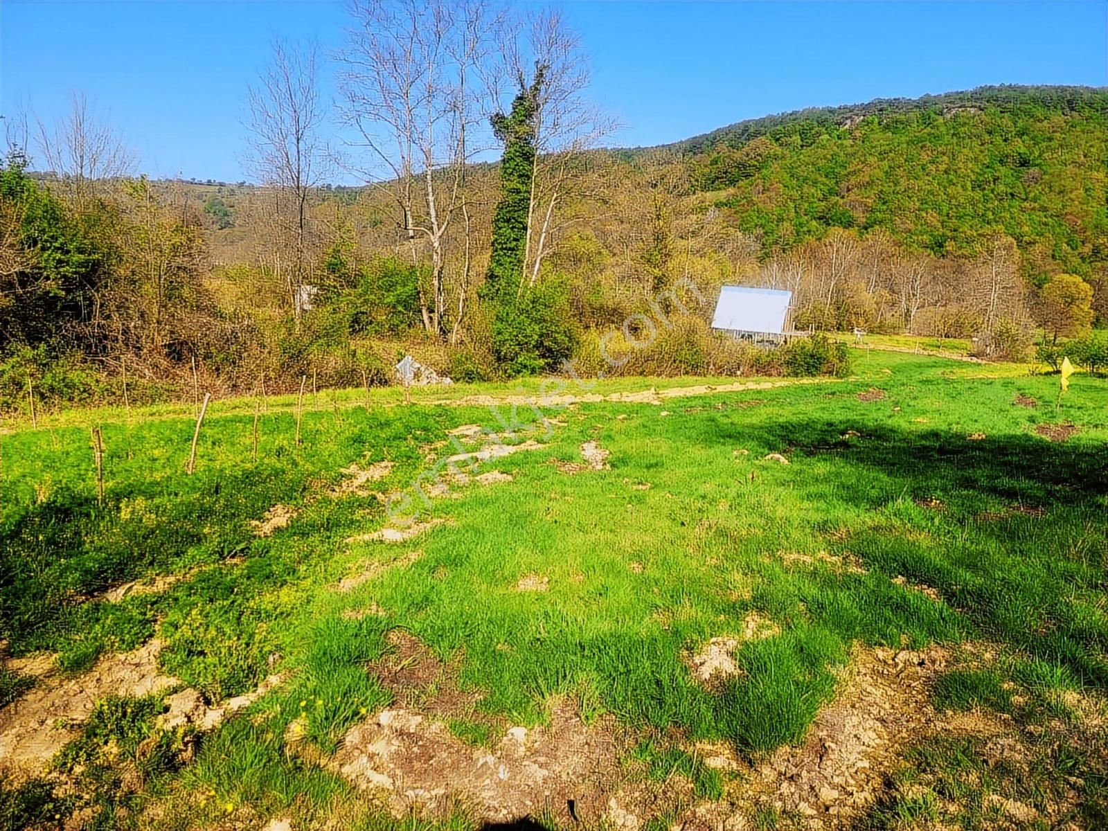 Harika Konumda, Dümdüz, Fırsat Arazi, Doğanın İçinde - Görsel 26