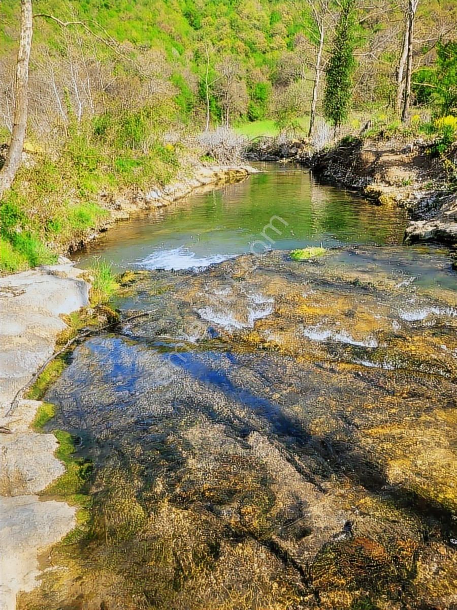 Harika Konumda, Dümdüz, Fırsat Arazi, Doğanın İçinde