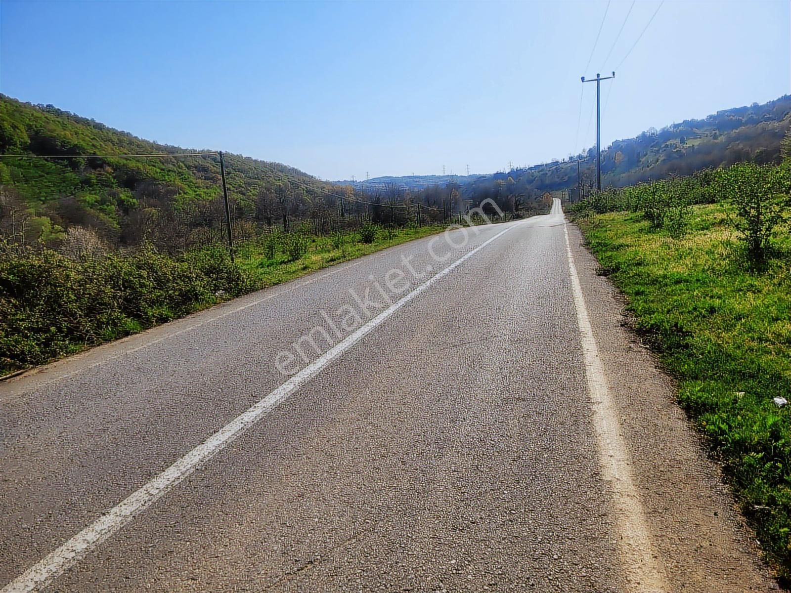 Harika Konumda, Dümdüz, Fırsat Arazi, Doğanın İçinde - Görsel 10