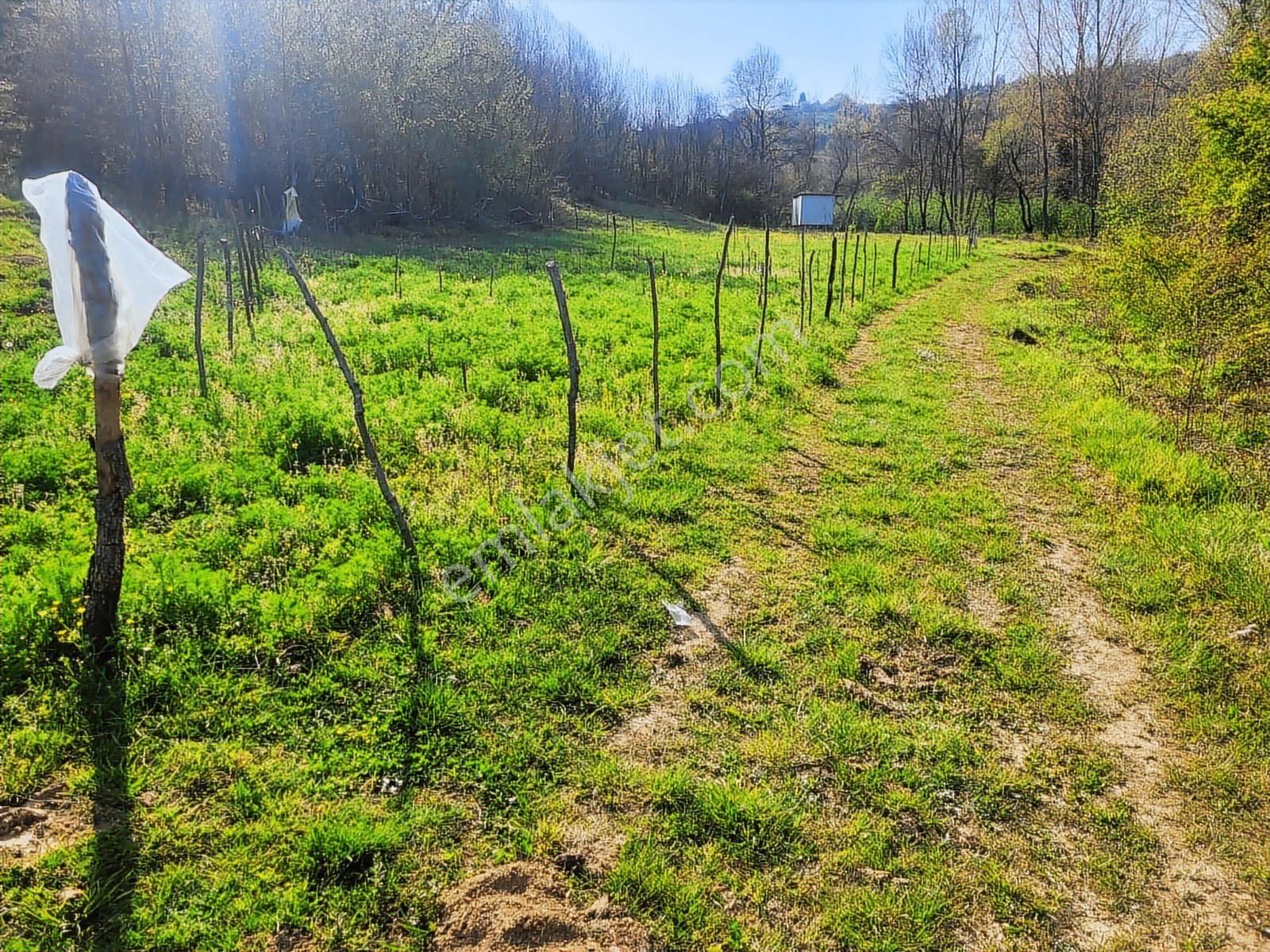 Harika Konumda, Dümdüz, Fırsat Arazi, Doğanın İçinde - Görsel 14